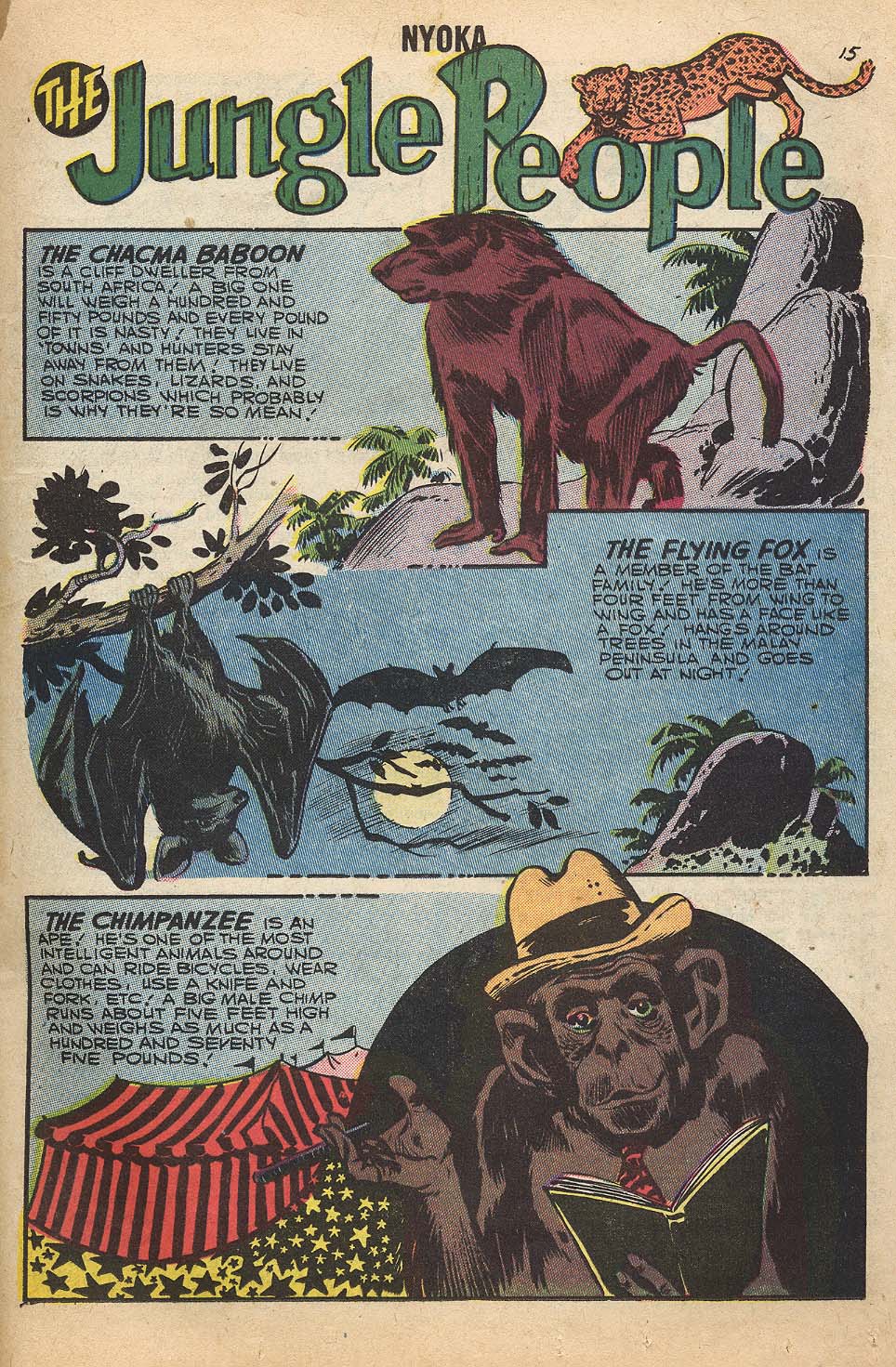 Read online Nyoka the Jungle Girl (1955) comic -  Issue #22 - 17