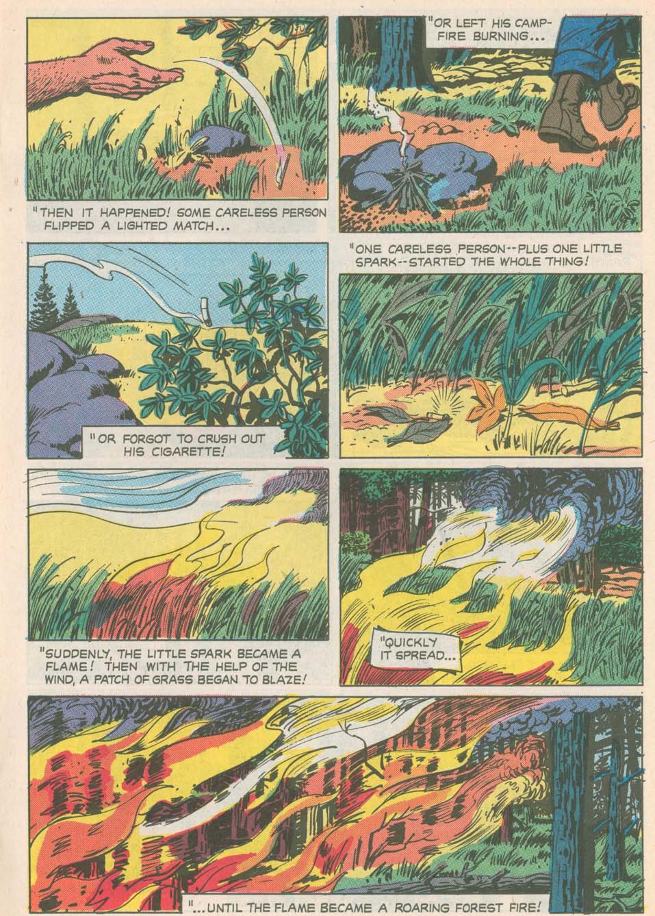 Read online The True Story of Smokey  Bear comic -  Issue # Full - 5