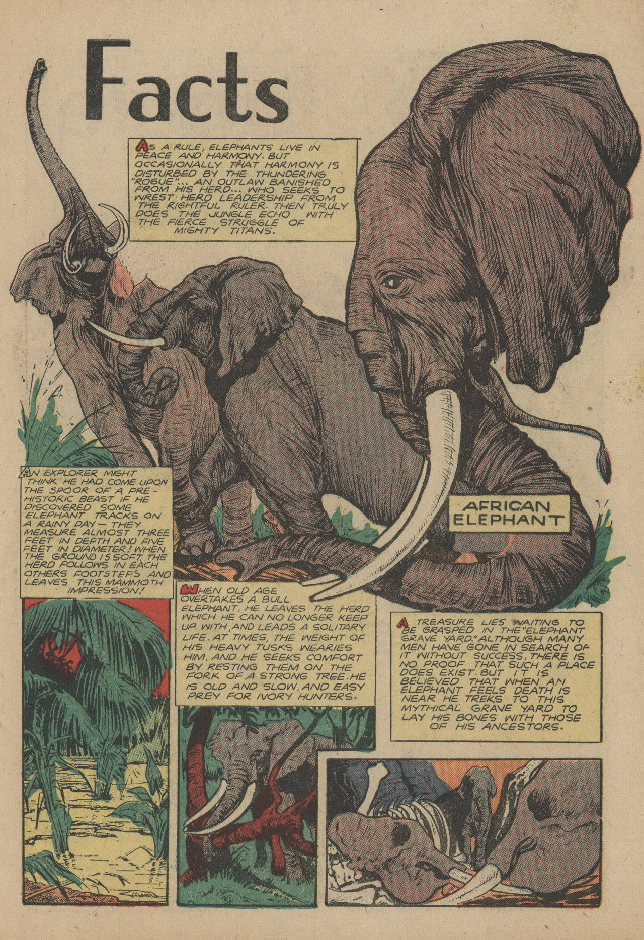 Read online Jungle Comics comic -  Issue #109 - 41