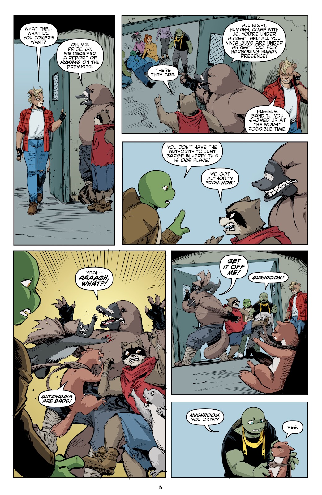 Teenage Mutant Ninja Turtles (2011) issue 112 - Page 17