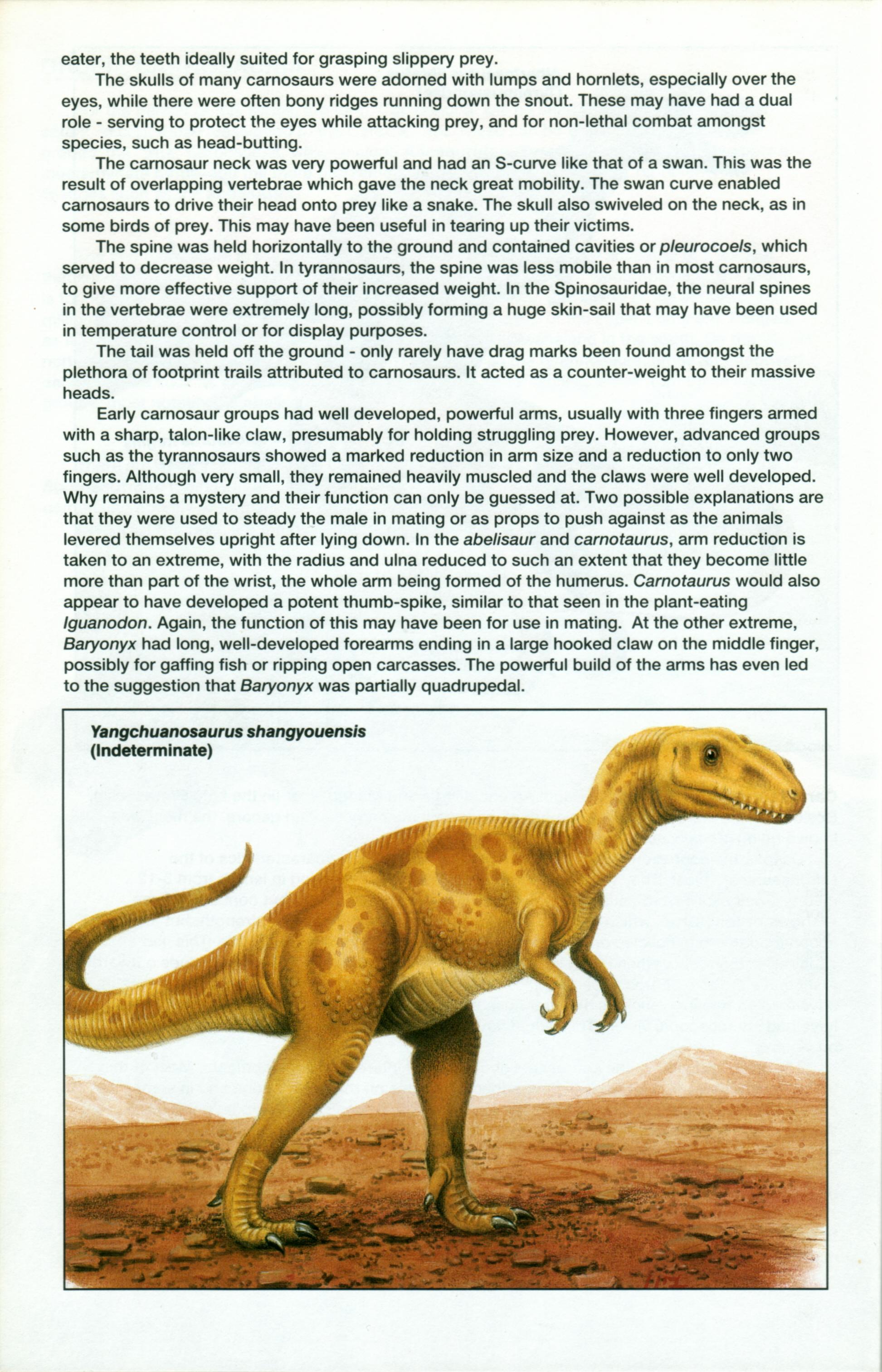 Read online Dinosaurs, A Celebration comic -  Issue #1 - 23