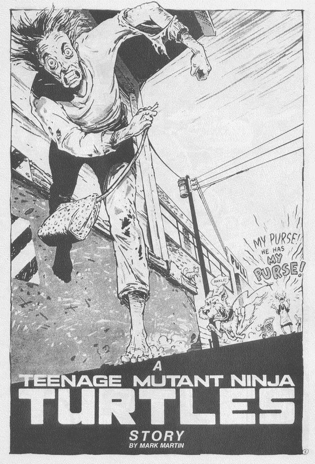 Teenage Mutant Ninja Turtles (1984) Issue #16 #16 - English 8