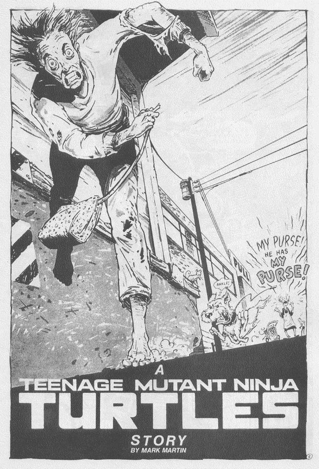 Read online Teenage Mutant Ninja Turtles (1984) comic -  Issue #16 - 8