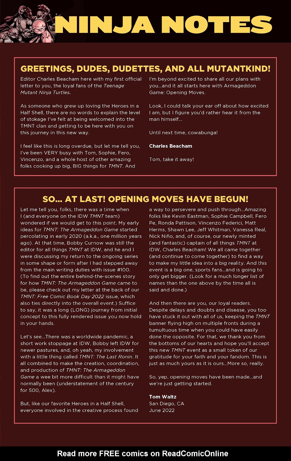 Teenage Mutant Ninja Turtles: The Armageddon Game—Opening Moves issue 1 - Page 35