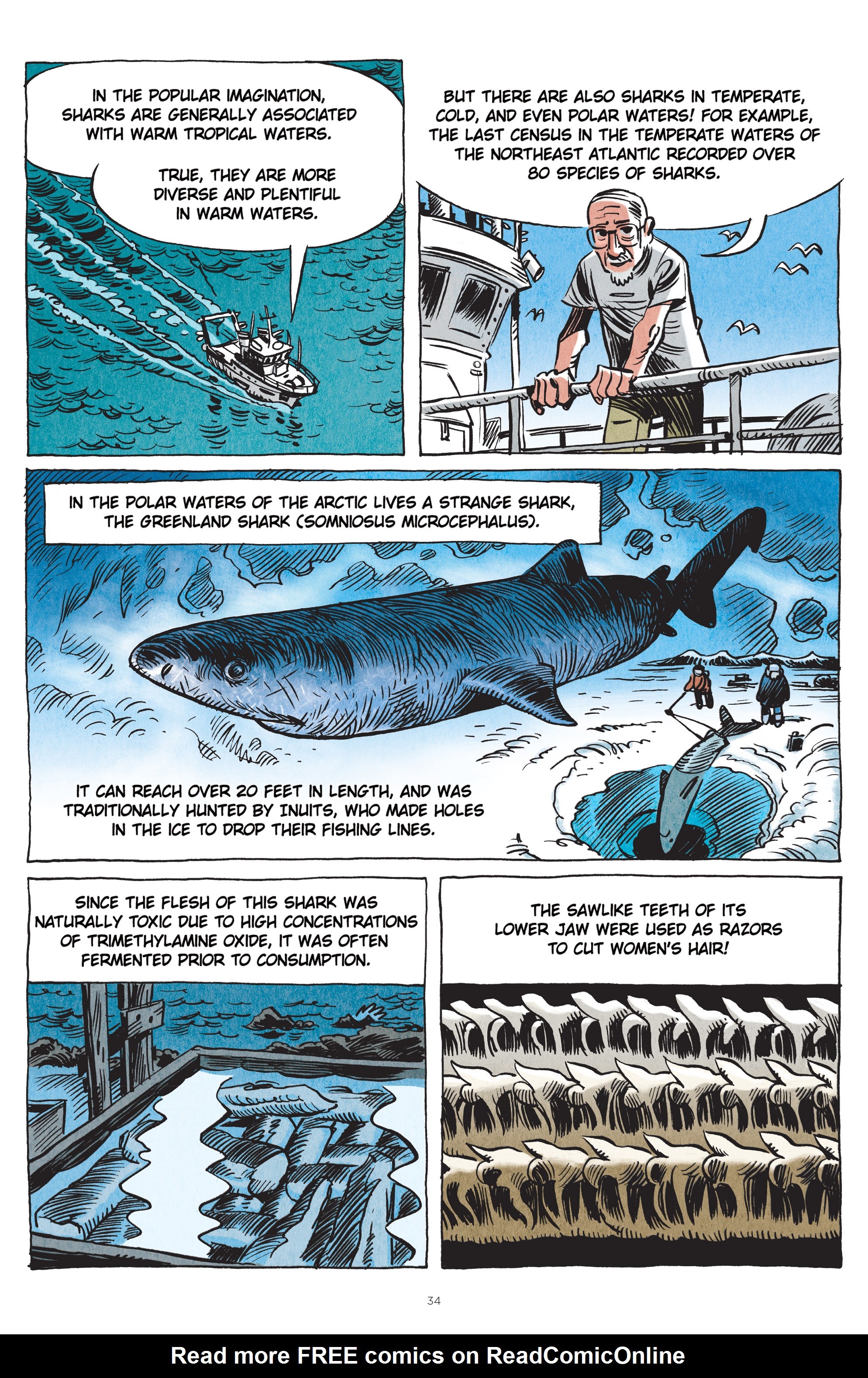 Read online Little Book of Knowledge: Sharks comic -  Issue # TPB - 34