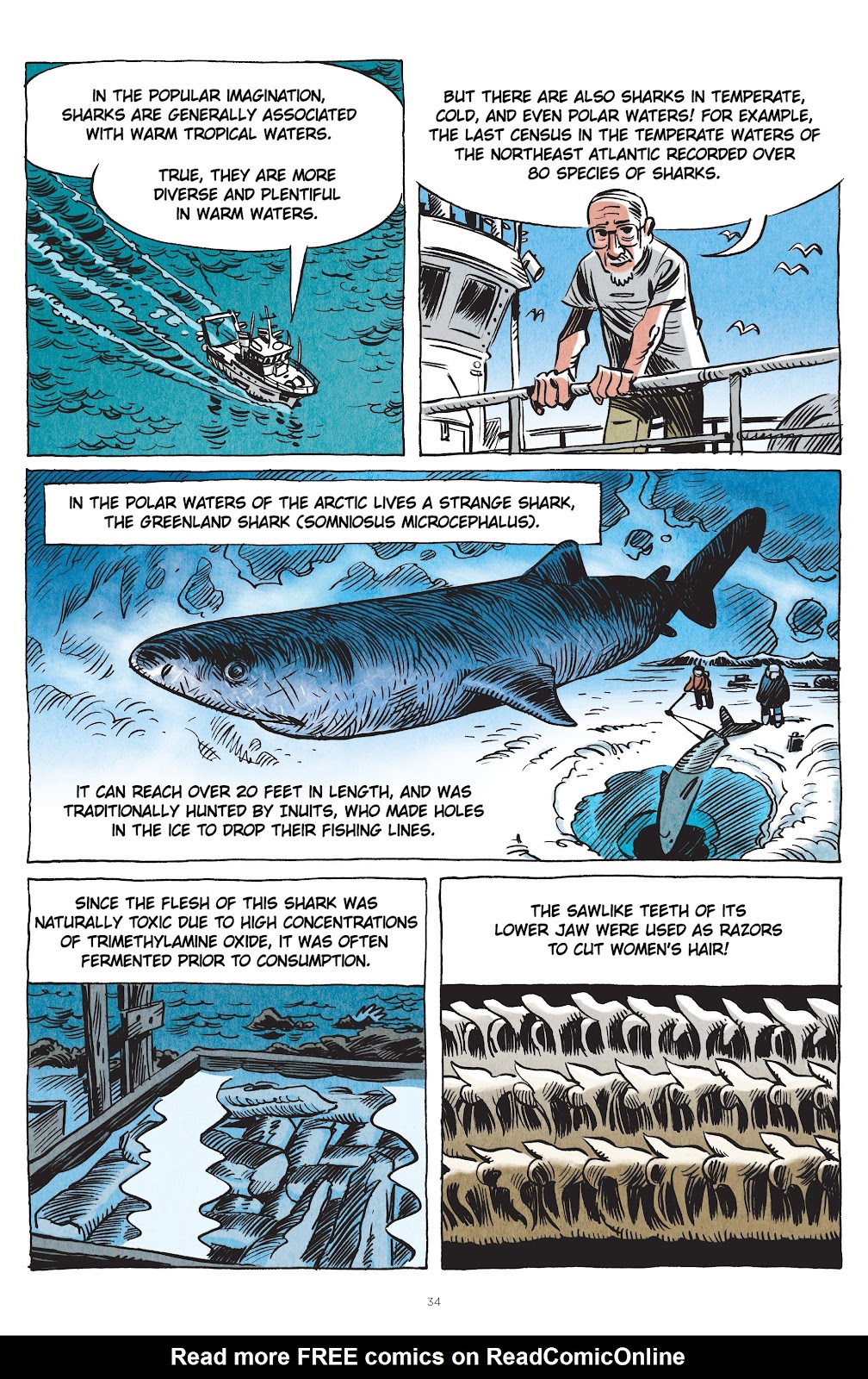 Little Book of Knowledge: Sharks issue TPB - Page 34