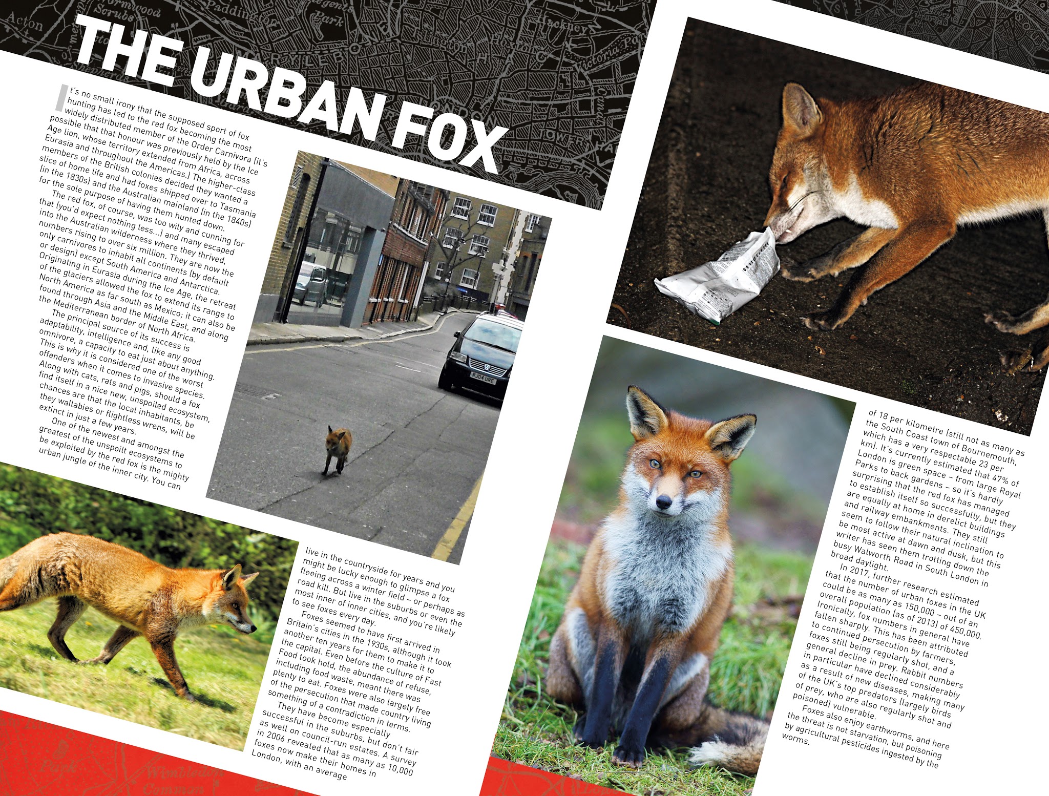 Read online Rivers of London: Cry Fox comic -  Issue #3 - 25