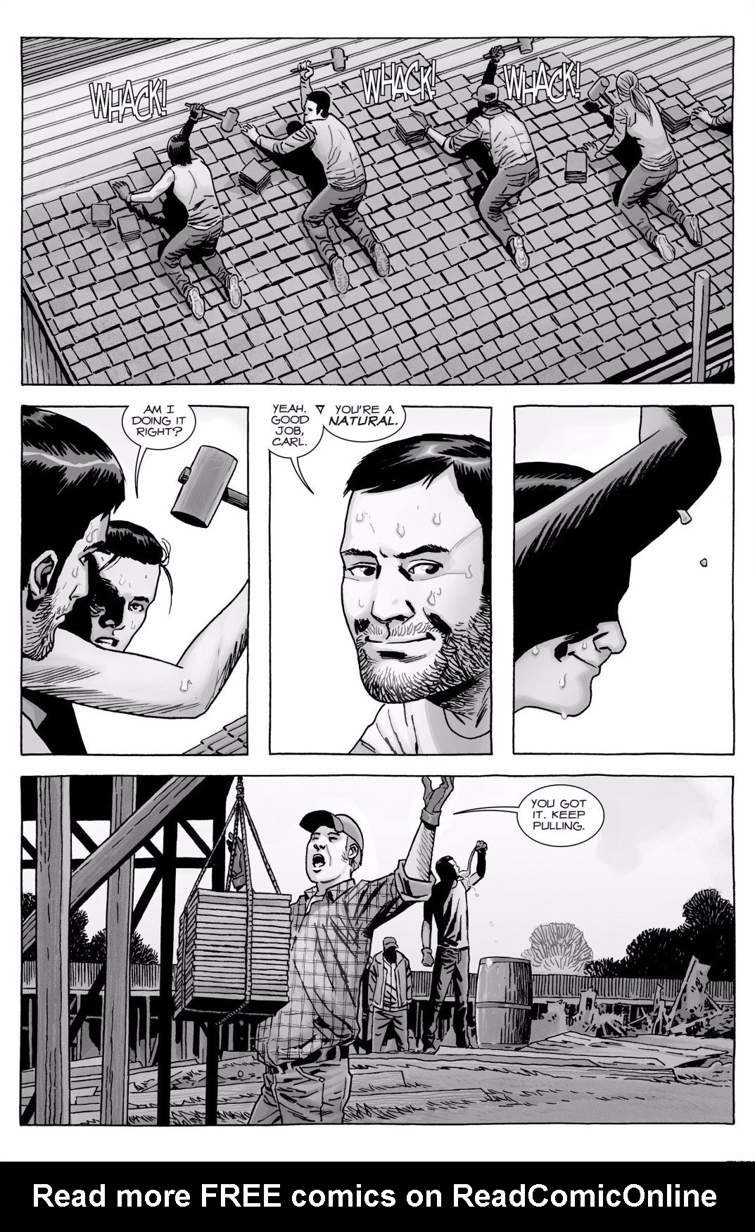 Read online The Walking Dead comic -  Issue #172 - 12