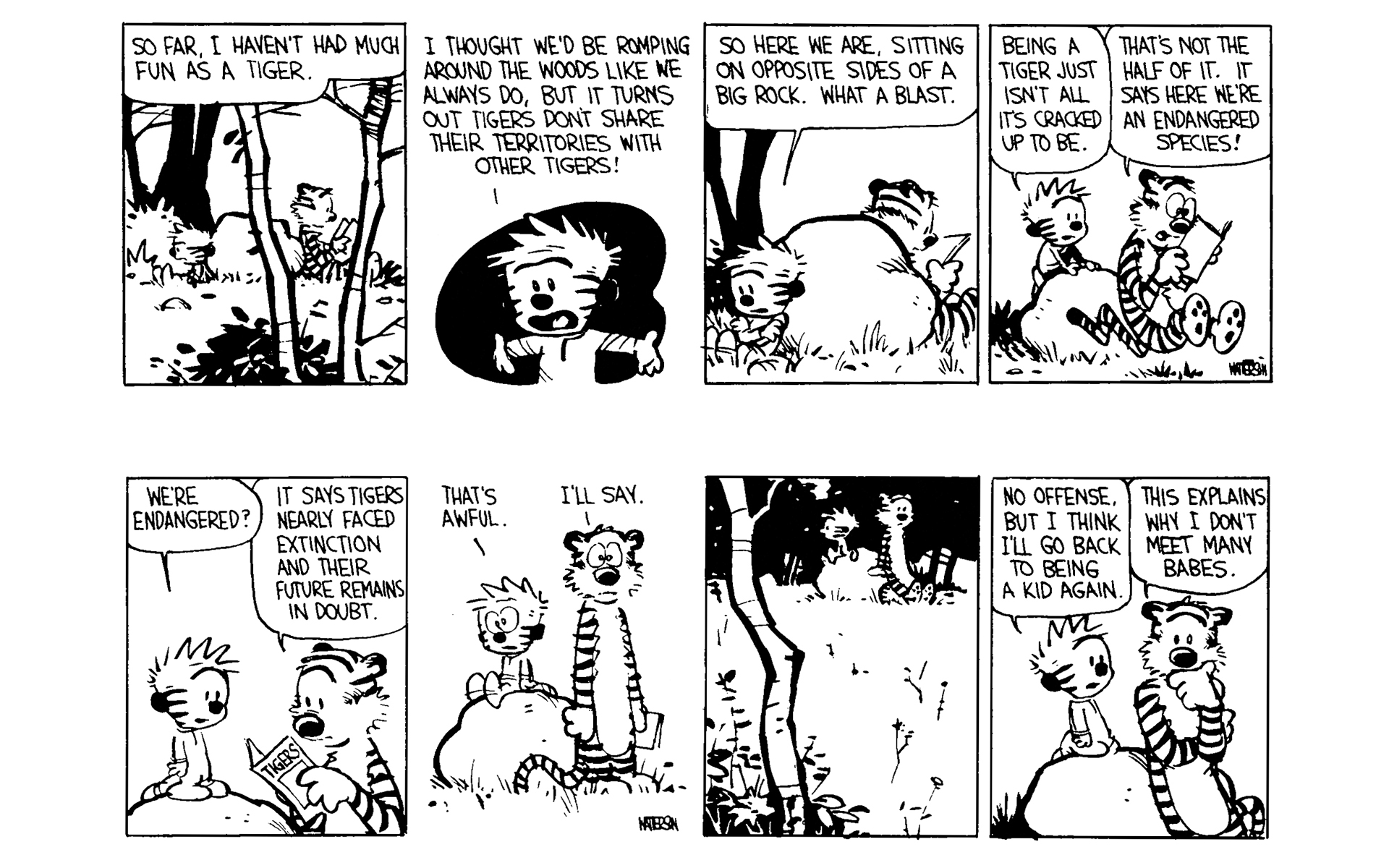 Read online Calvin and Hobbes comic -  Issue #4 - 20