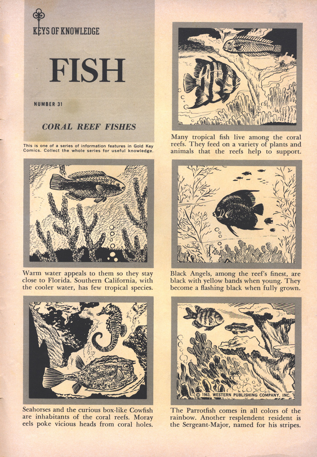 Read online Walt Disney's Mickey Mouse comic -  Issue #92 - 35