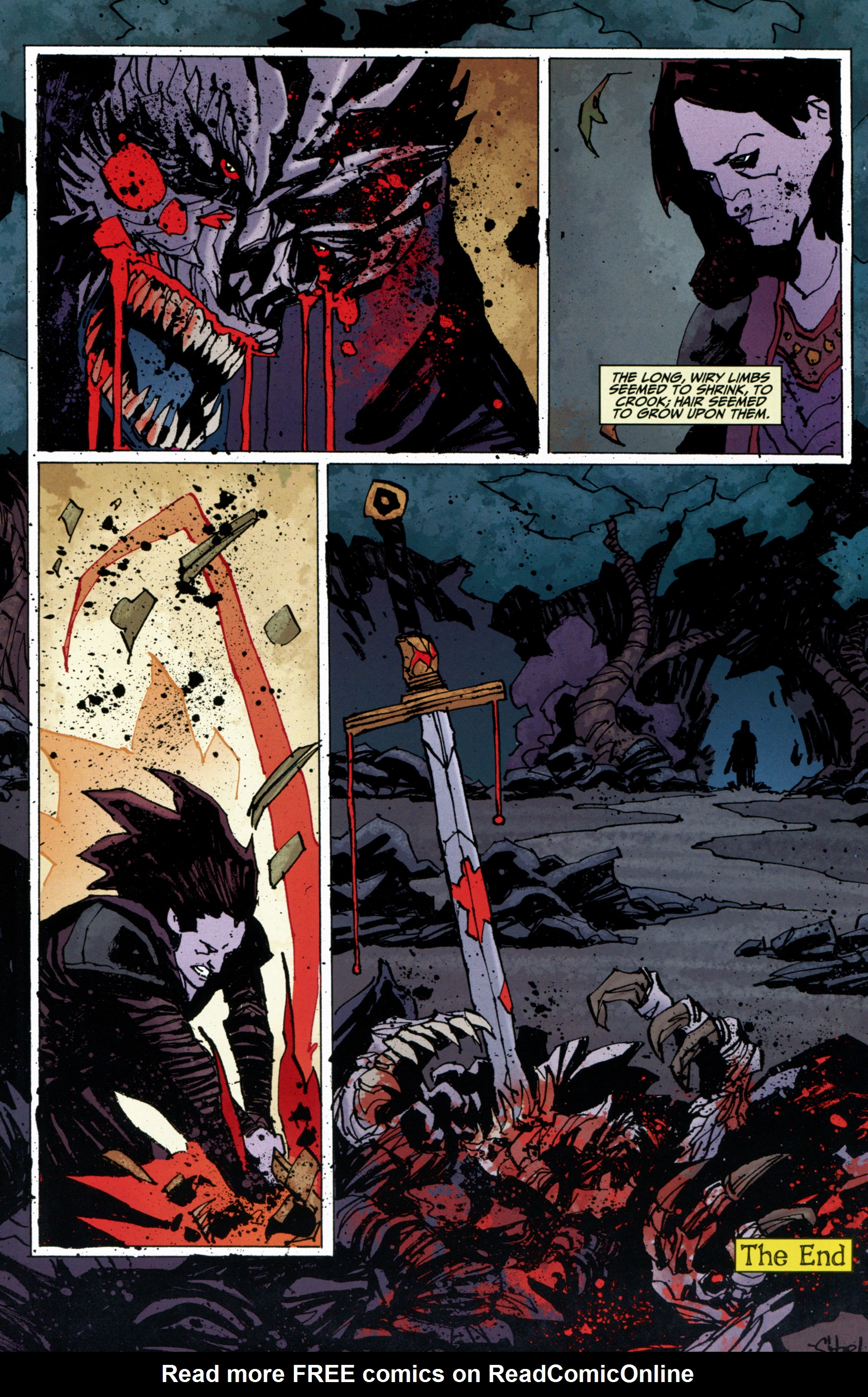 Read online Robert E. Howard's Savage Sword comic -  Issue #5 - 24