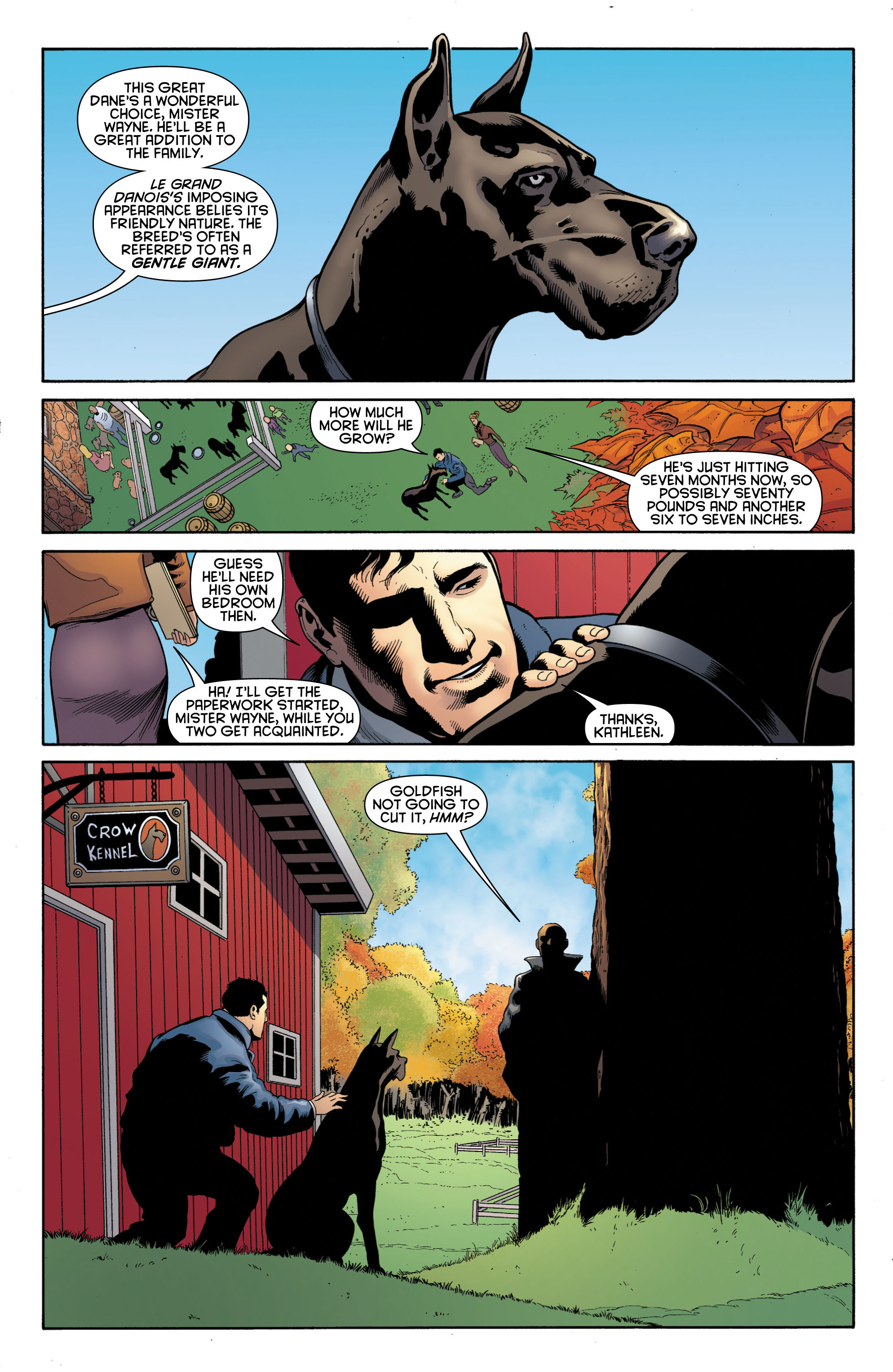 Read online Batman and Robin (2011) comic -  Issue # TPB 1 - 43