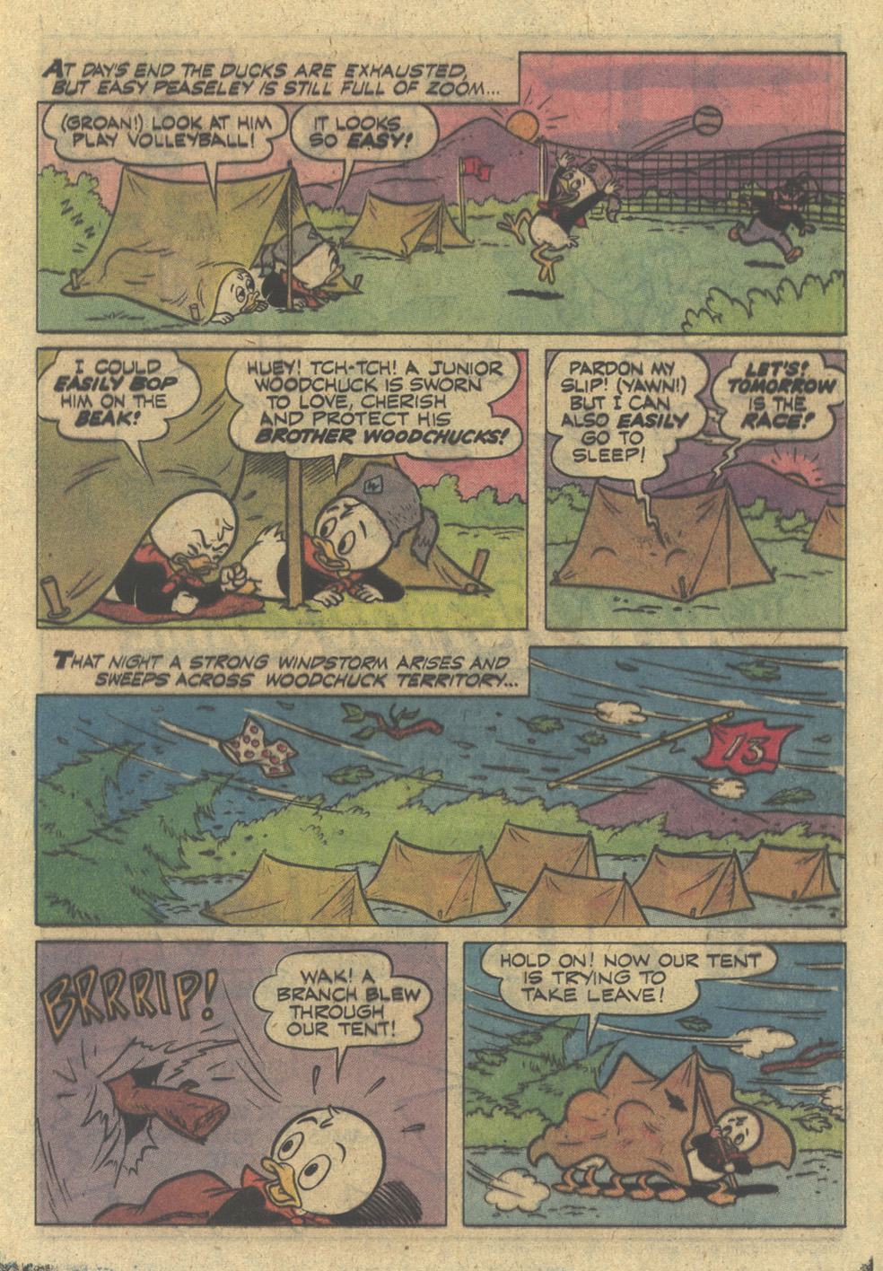 Read online Huey, Dewey, and Louie Junior Woodchucks comic -  Issue #48 - 17