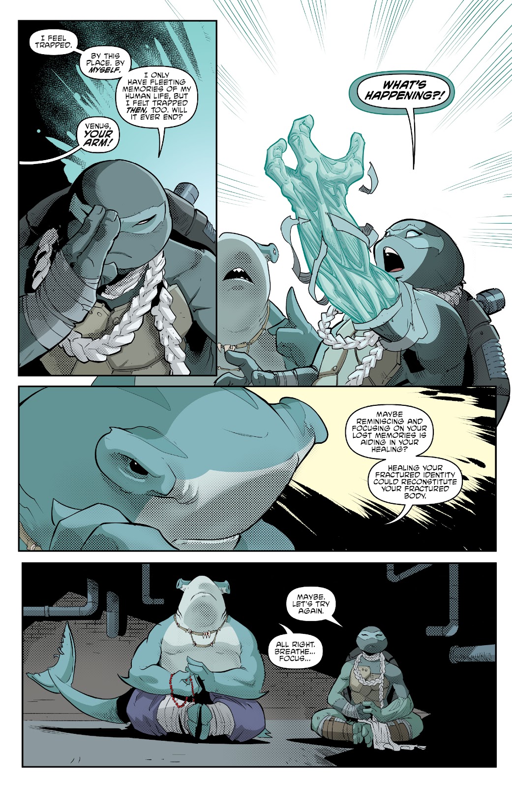 Teenage Mutant Ninja Turtles (2011) issue 133 - Page 15