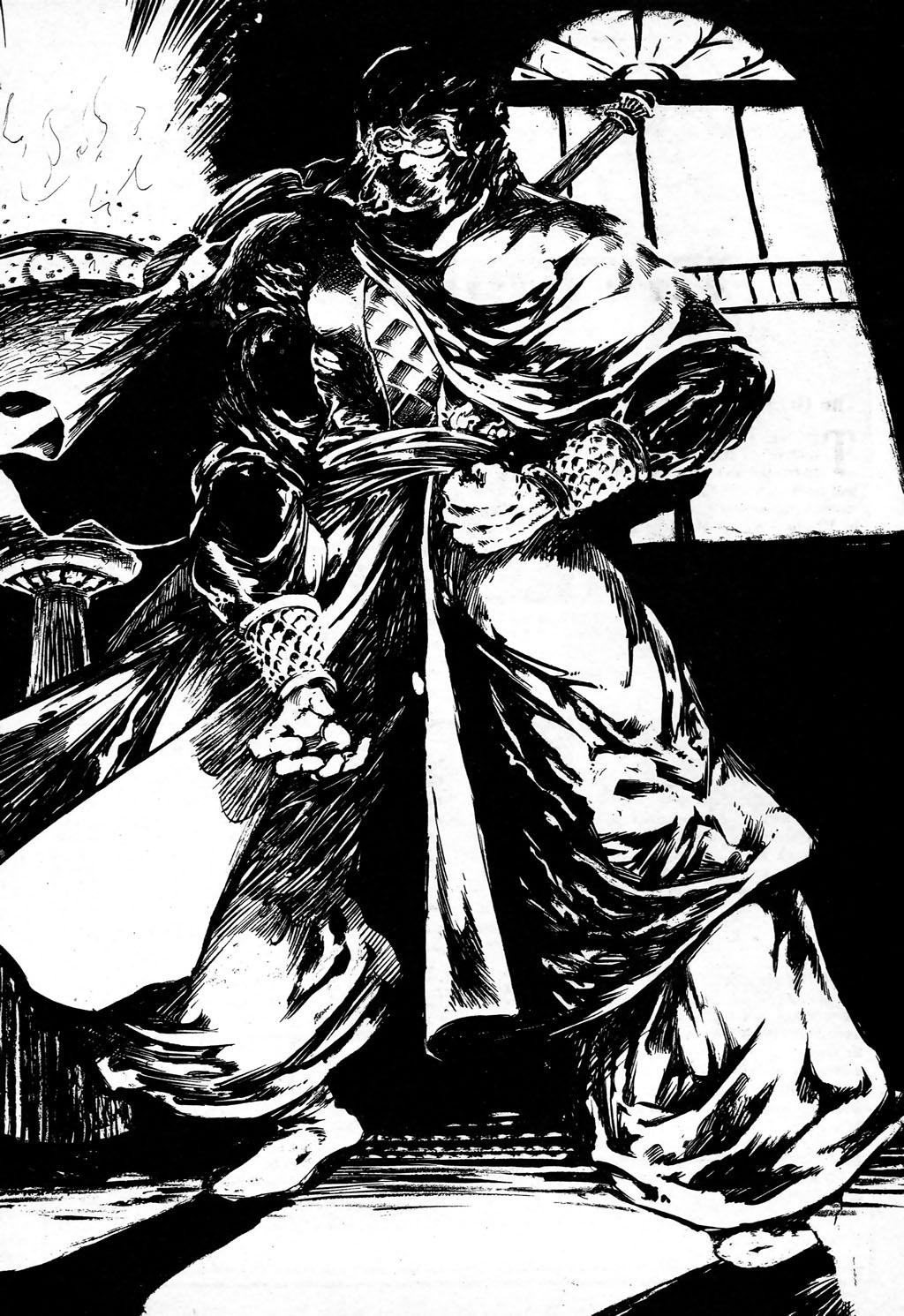 Ninja Elite issue 4 - Page 27