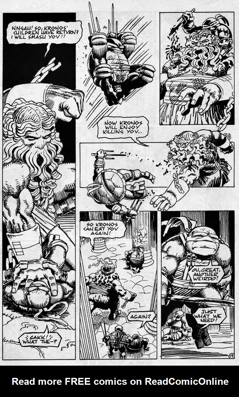 Read online Teenage Mutant Ninja Turtles (1984) comic -  Issue #43 - 21