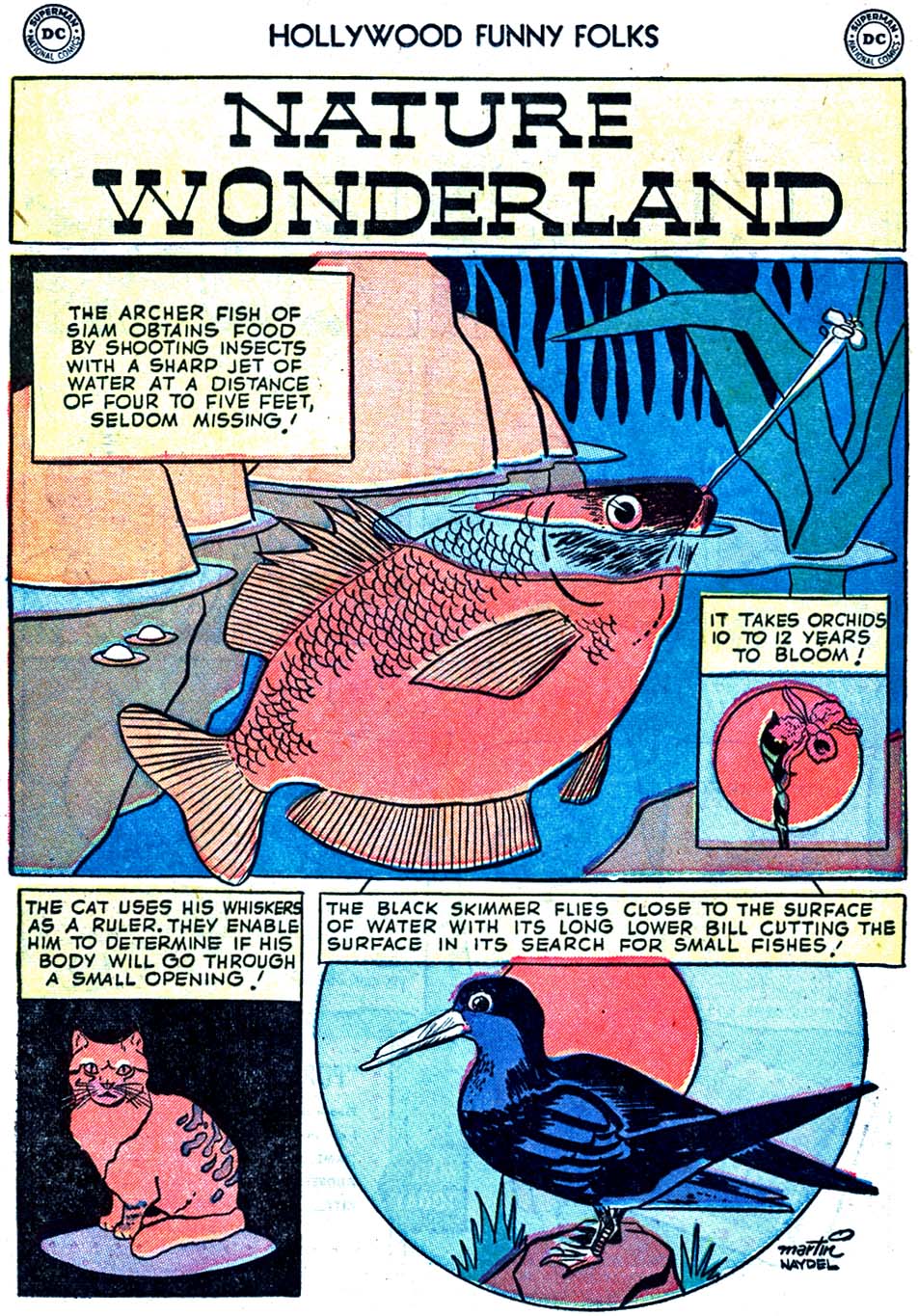 Read online Hollywood Funny Folks comic -  Issue #54 - 22