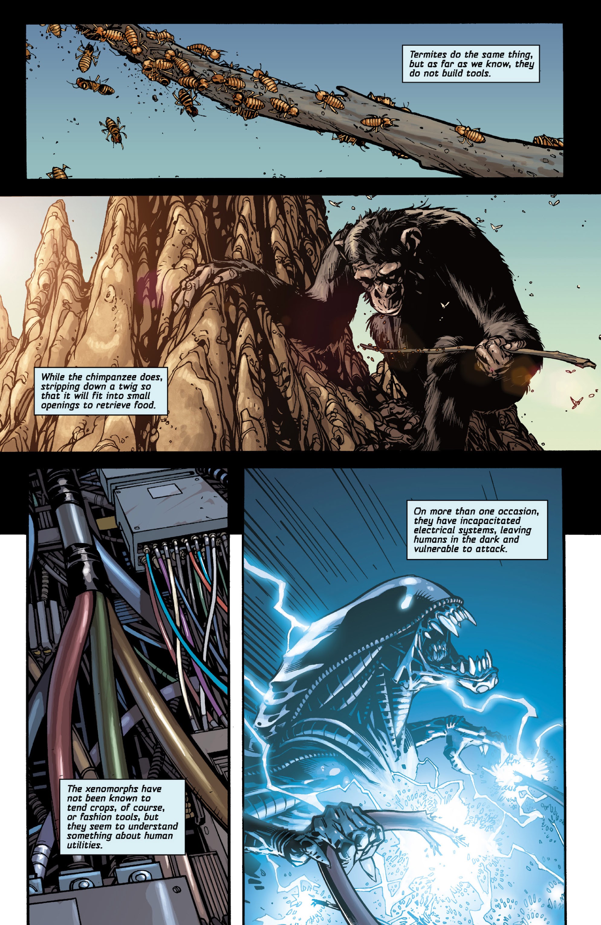 Read online Aliens: More Than Human comic -  Issue # TPB - 12