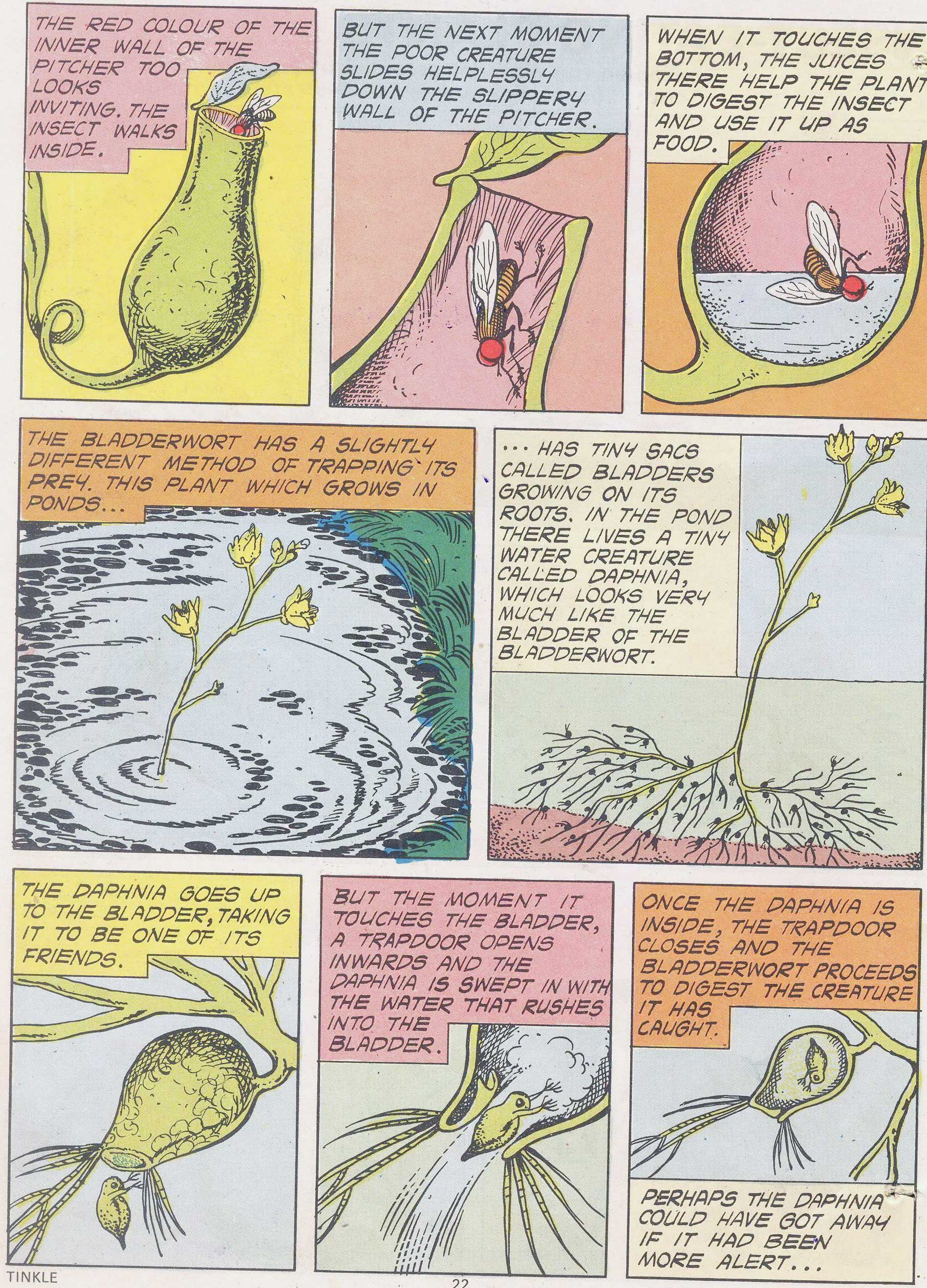 Read online Tinkle comic -  Issue #7 - 24