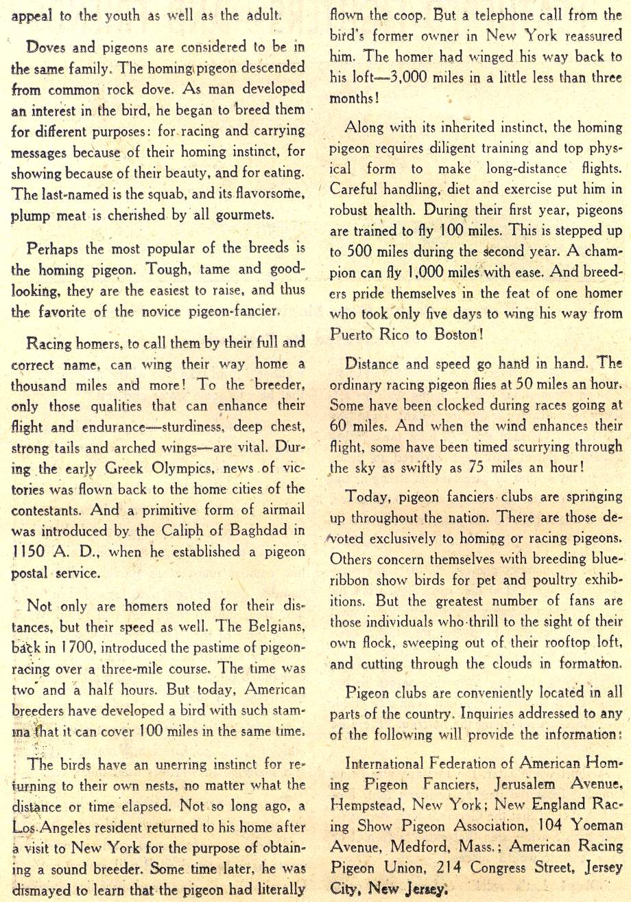 Read online Adventure Comics (1938) comic -  Issue #231 - 27