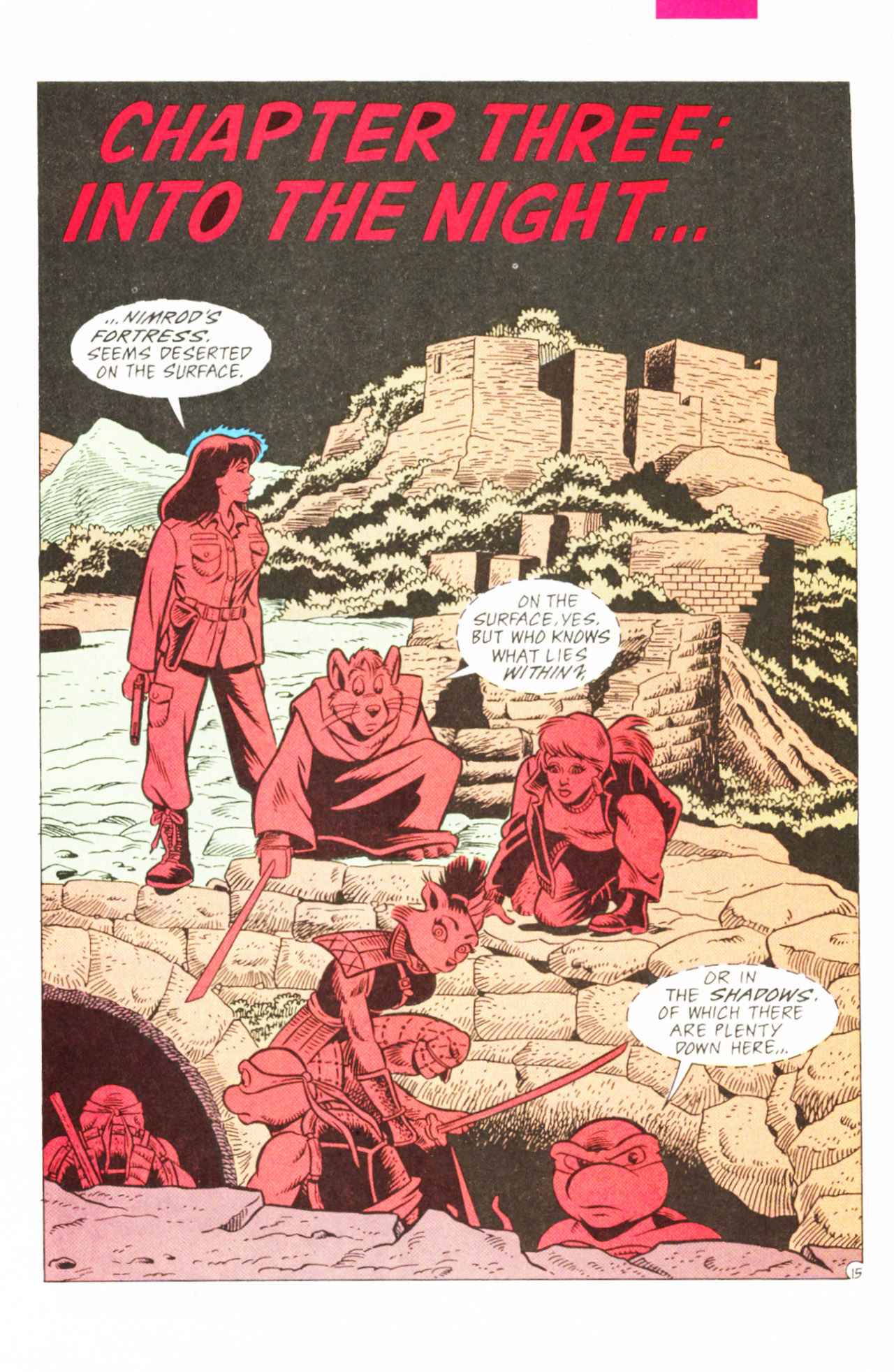 Read online Teenage Mutant Ninja Turtles Adventures (1989) comic -  Issue #54 - 17