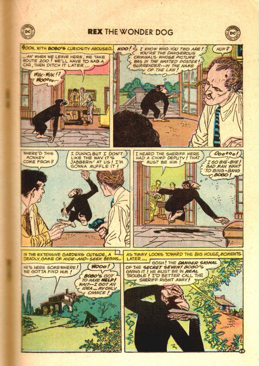 Read online The Adventures of Rex the Wonder Dog comic -  Issue #31 - 19