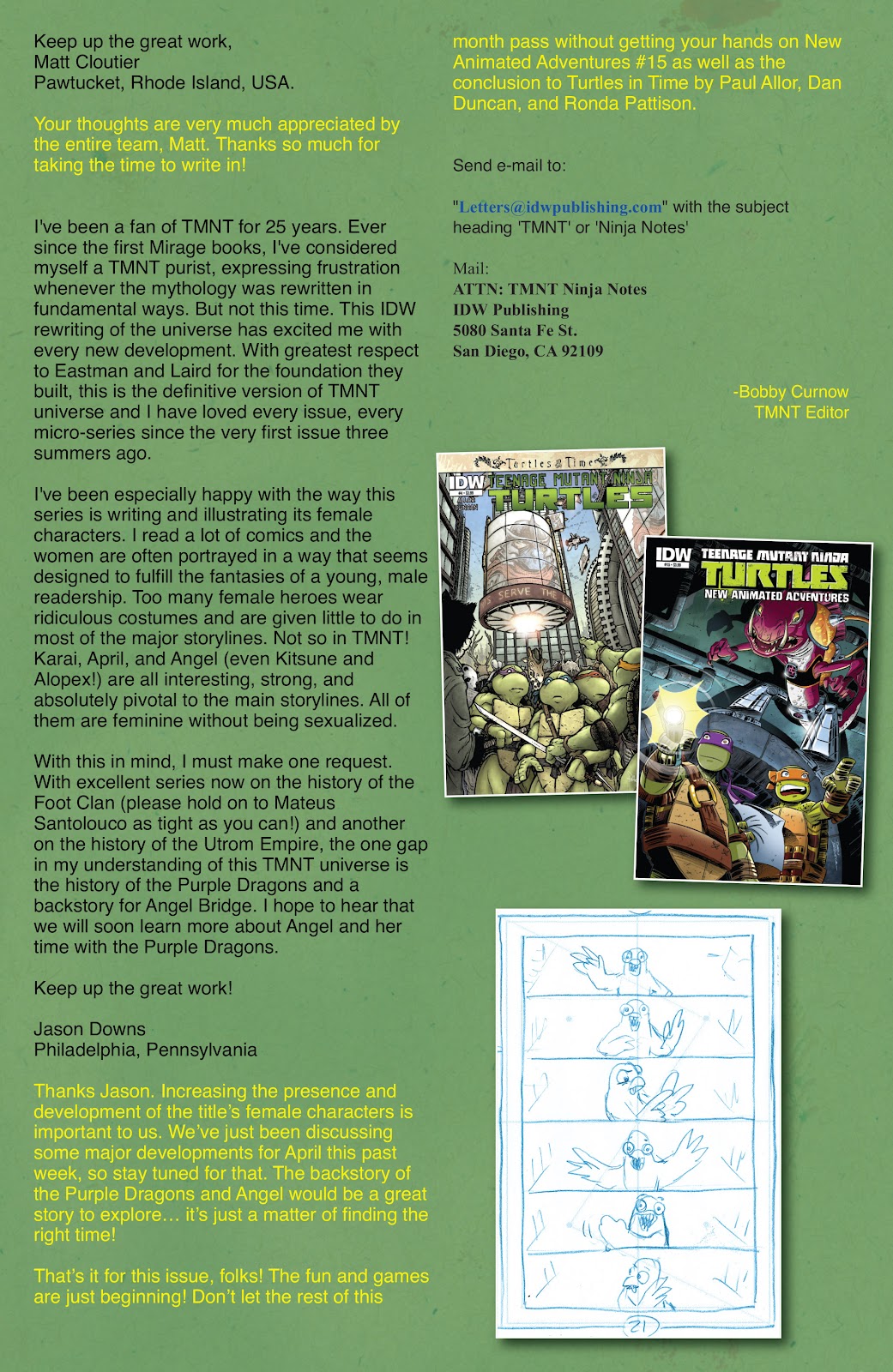 Teenage Mutant Ninja Turtles (2011) issue 38 - Page 30