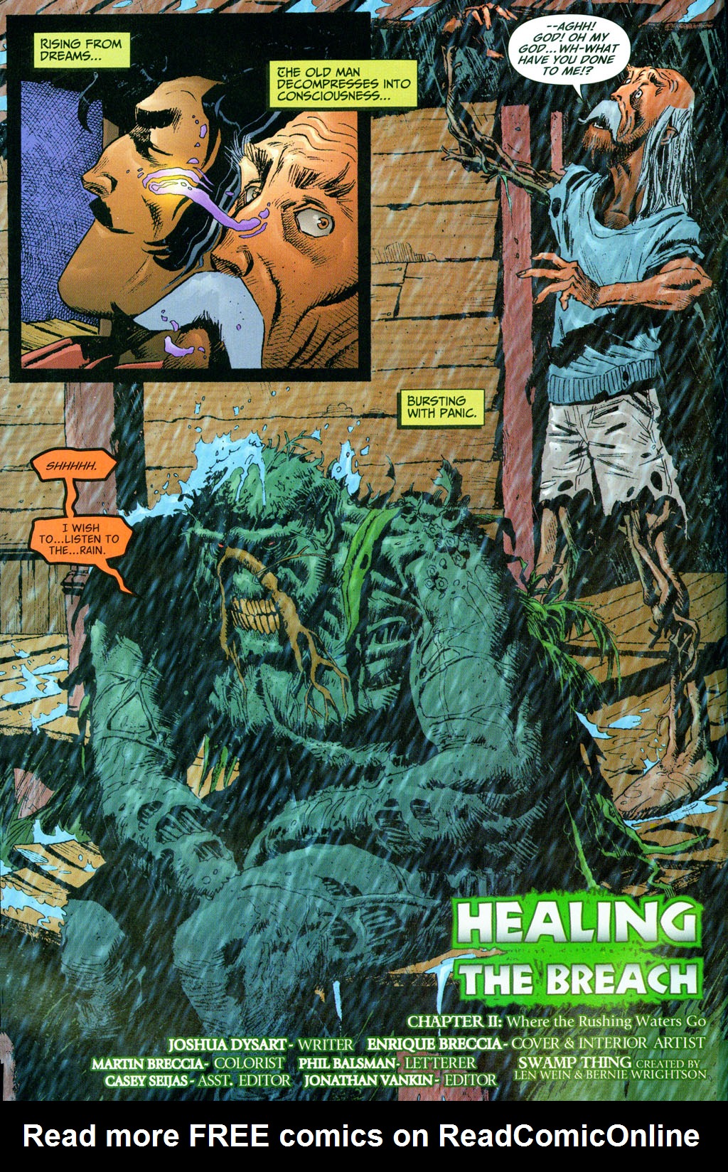 Read online Swamp Thing (2004) comic -  Issue #16 - 3