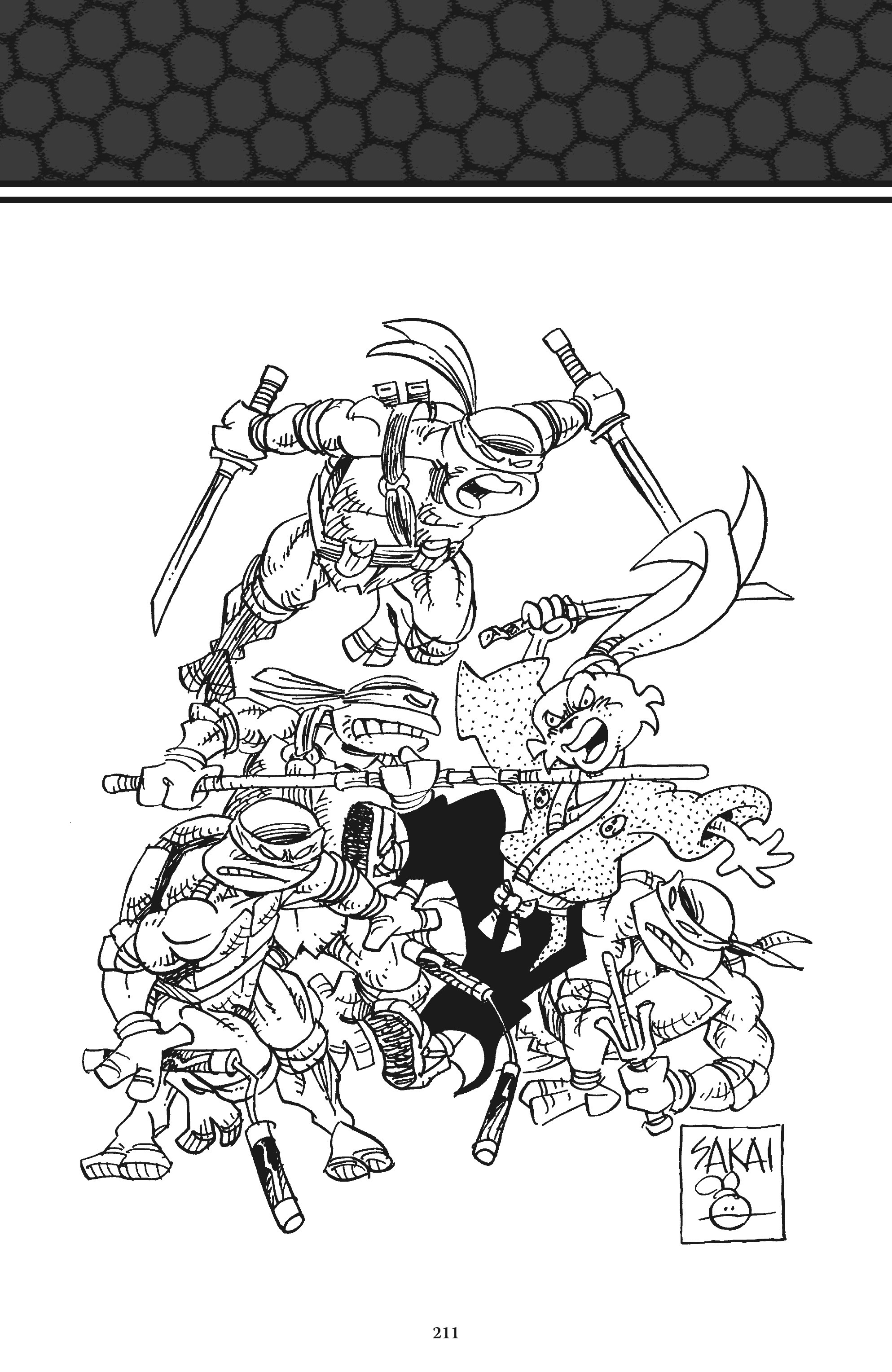 Read online Usagi Yojimbo/Teenage Mutant Ninja Turtles: The Complete Collection comic -  Issue # TPB (Part 2) - 100