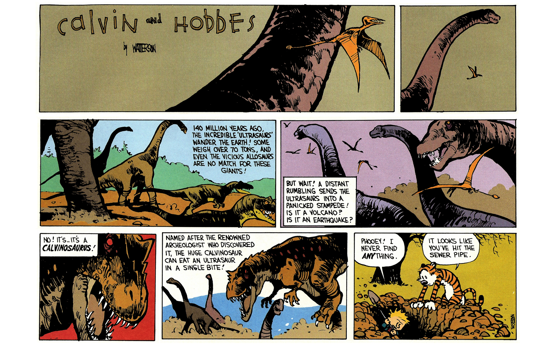 Read online Calvin and Hobbes comic -  Issue #6 - 105