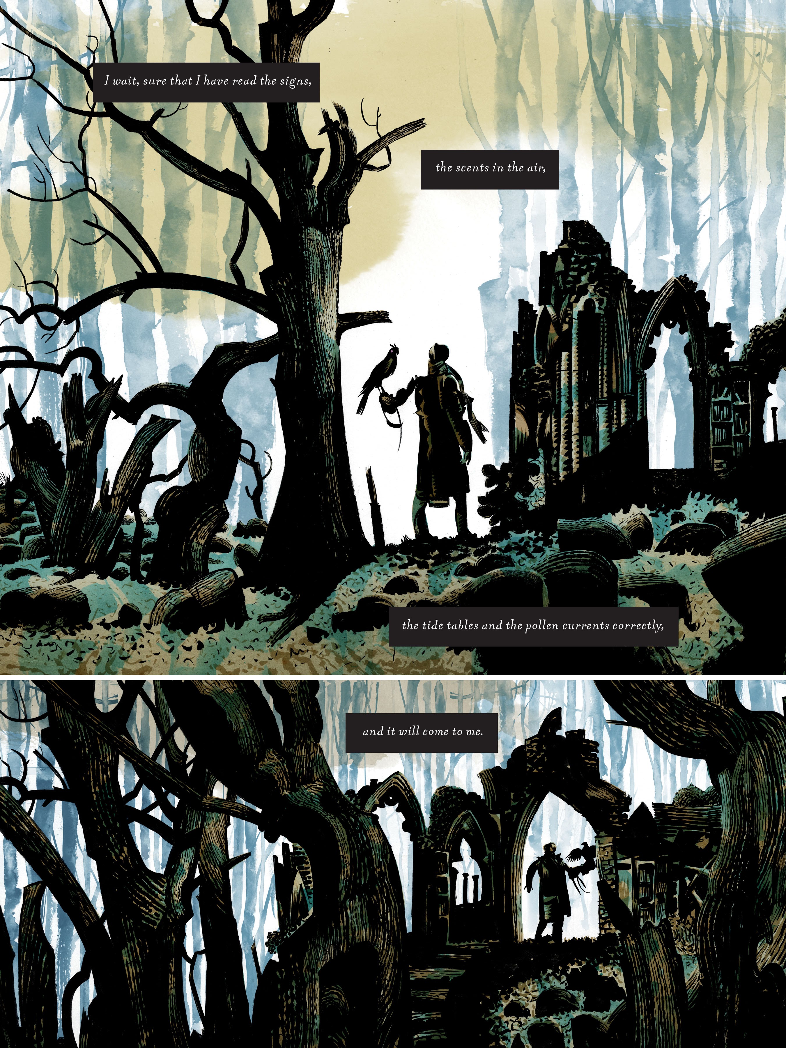 Read online Raptor: A Sokol Graphic Novel comic -  Issue # TPB - 88