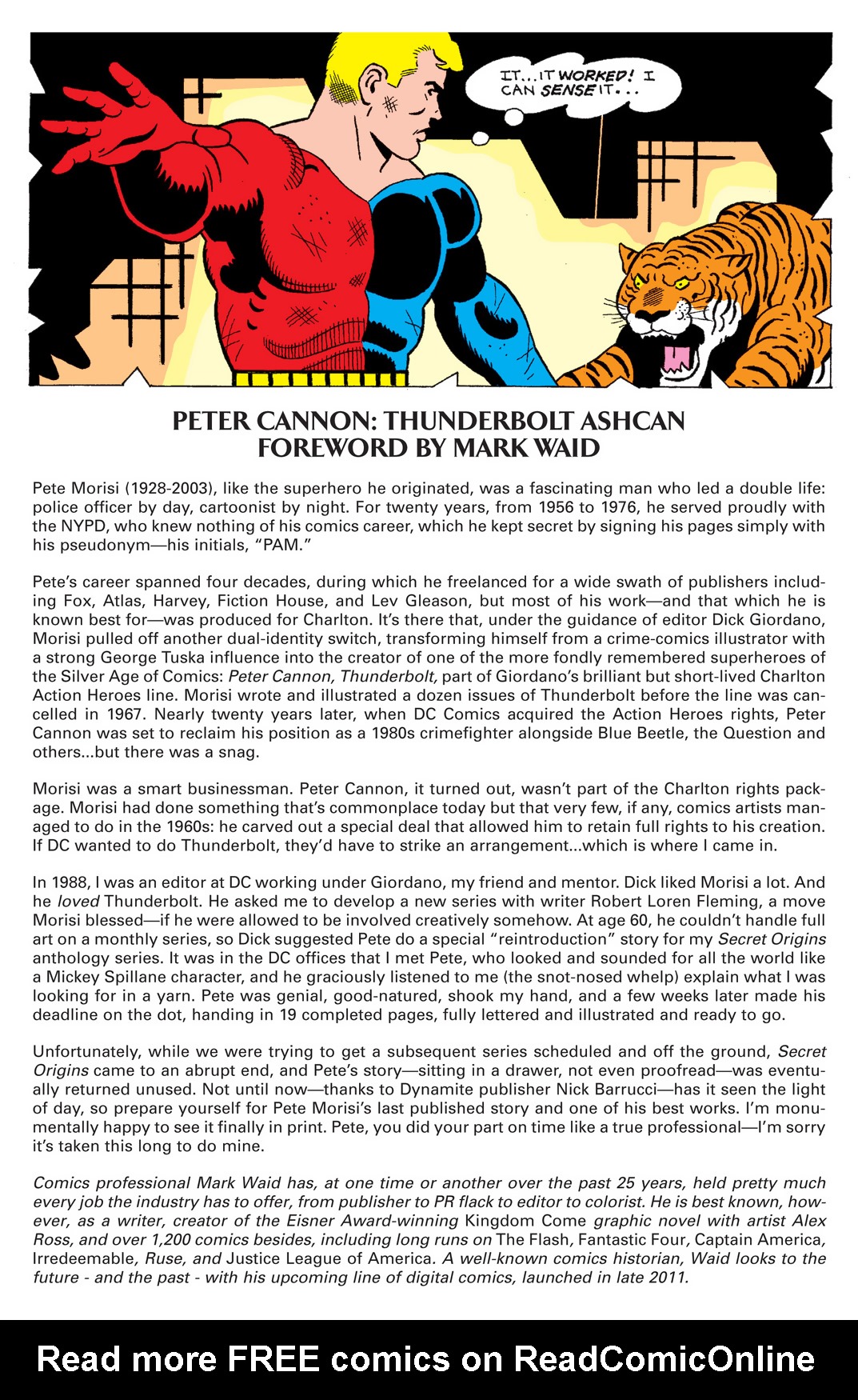 Read online Peter Cannon: Thunderbolt comic -  Issue #1 - 28