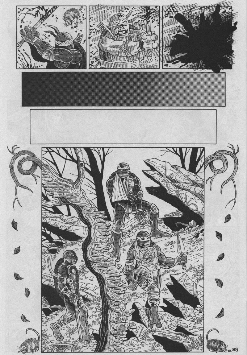 Teenage Mutant Ninja Turtles (1984) Issue #37 #37 - English 38