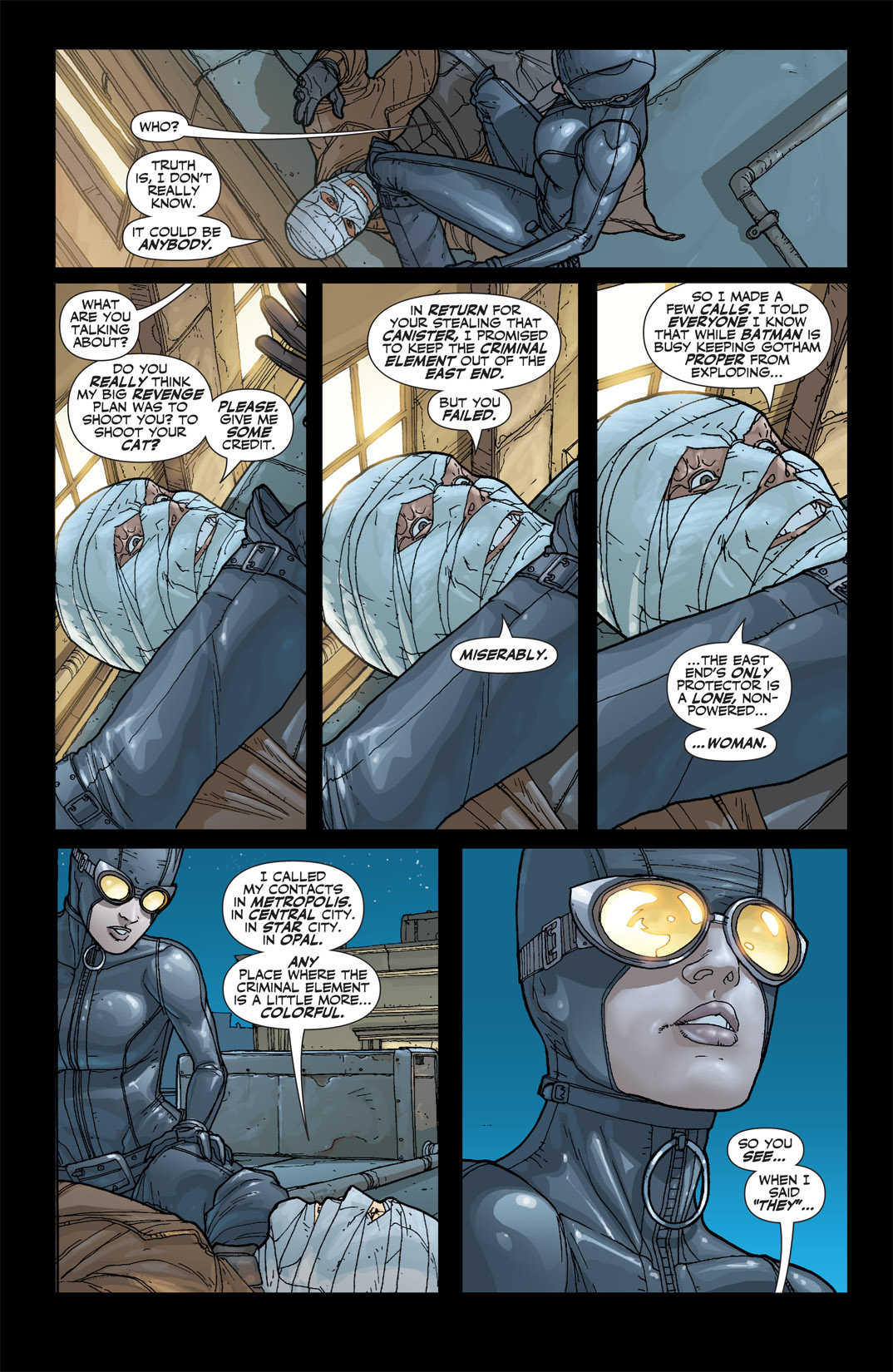 Read online Catwoman (2002) comic -  Issue #45 - 22