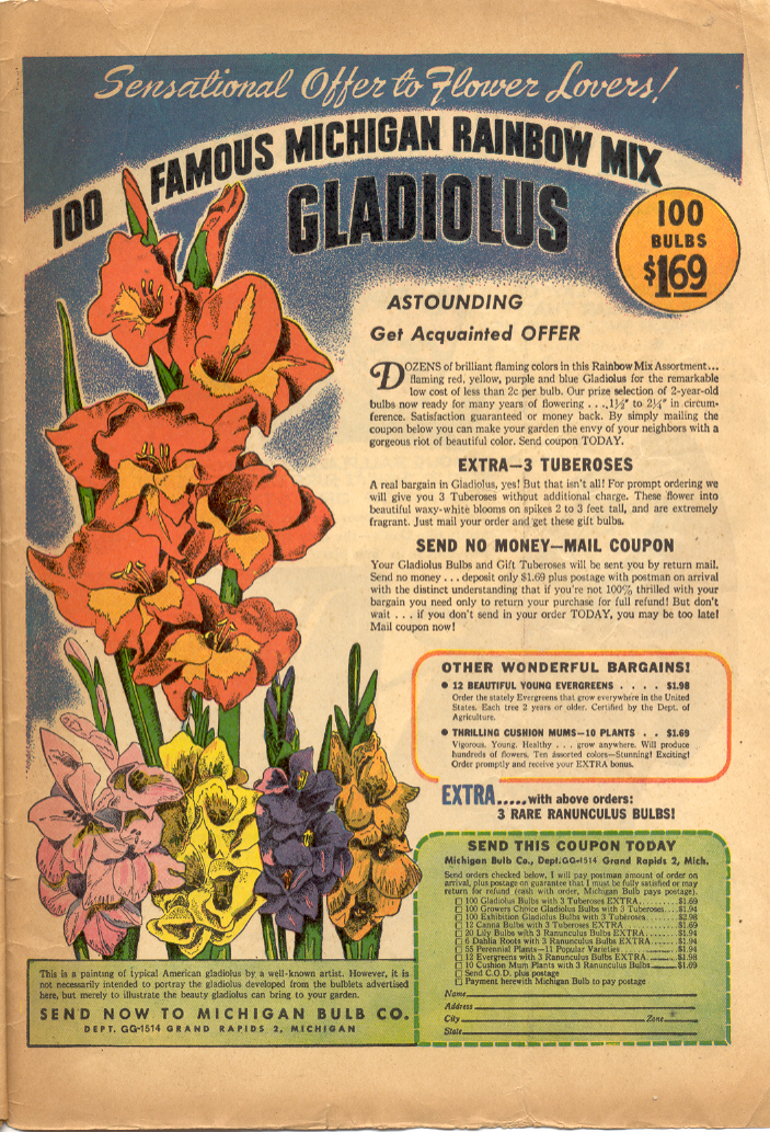 Read online Nyoka the Jungle Girl (1945) comic -  Issue #18 - 35