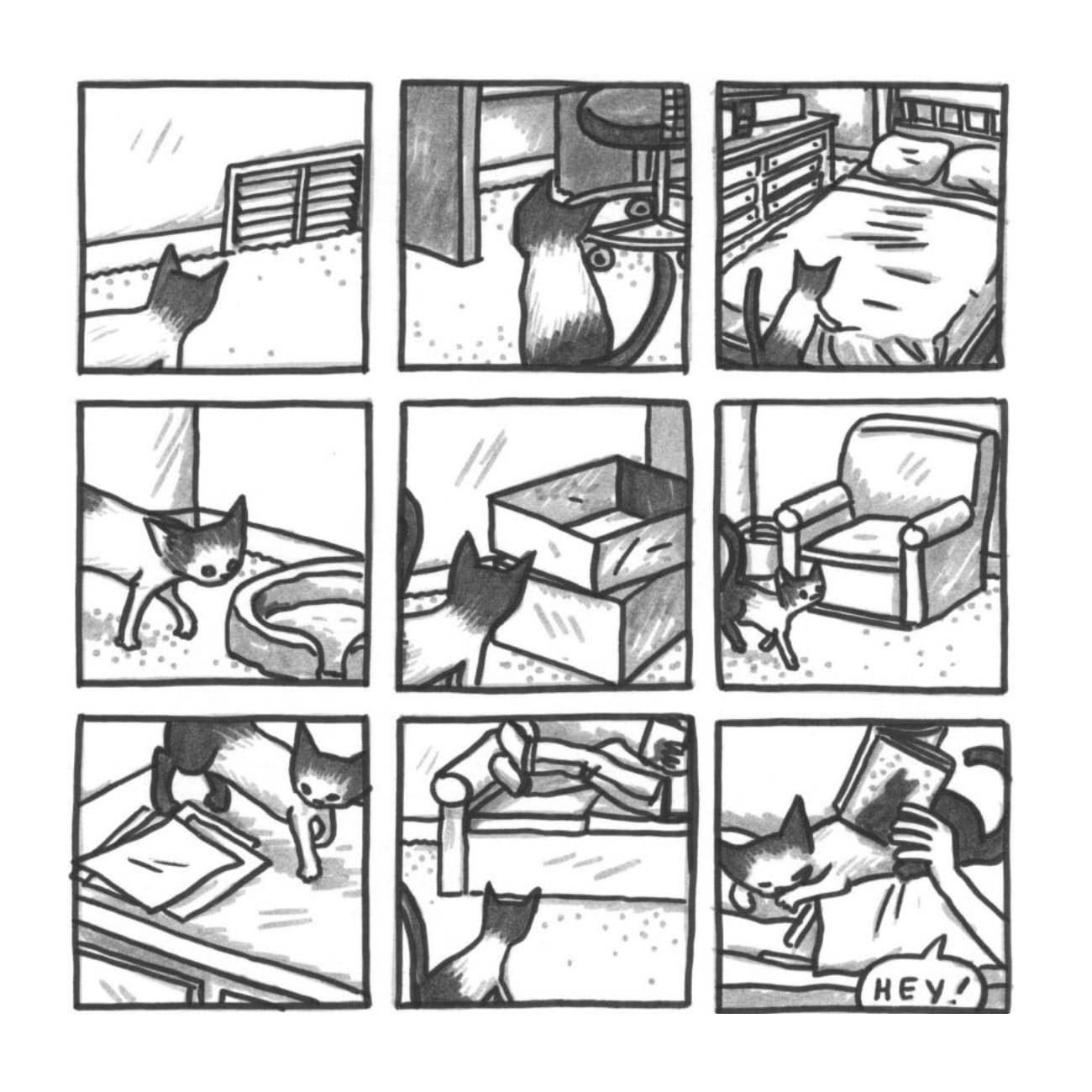 Read online Cats are Weird and More Observations comic -  Issue # TPB - 37