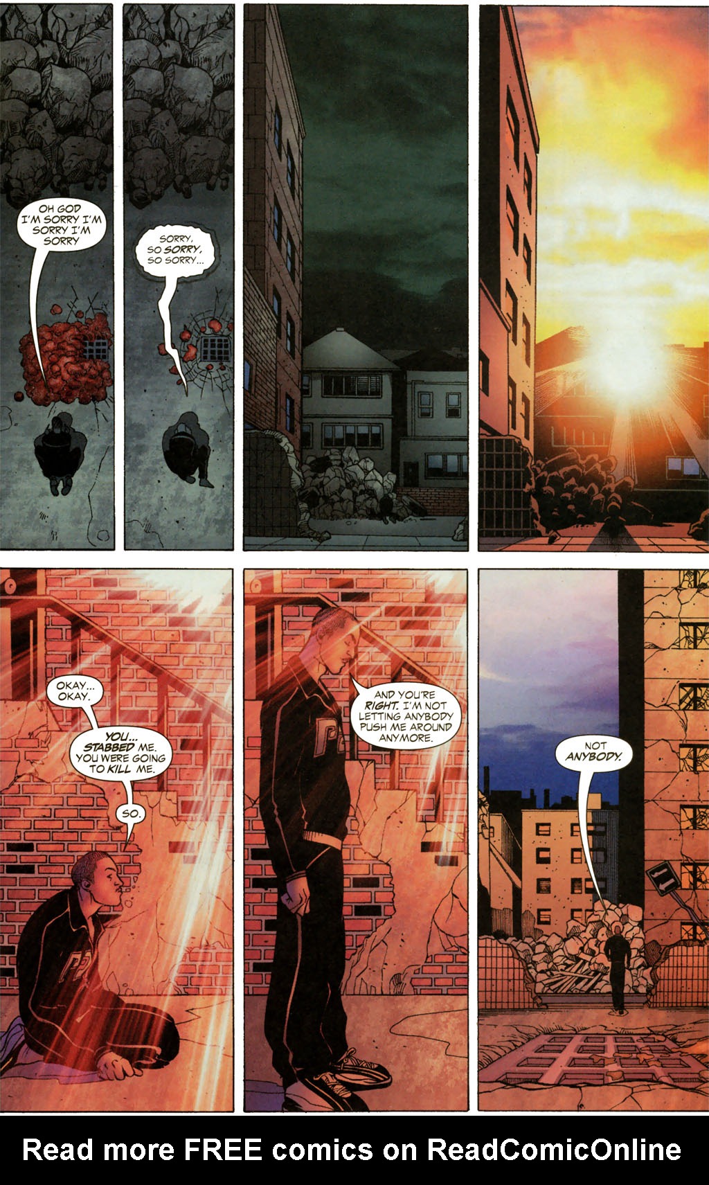 Firestorm (2004) Issue #3 #3 - English 19