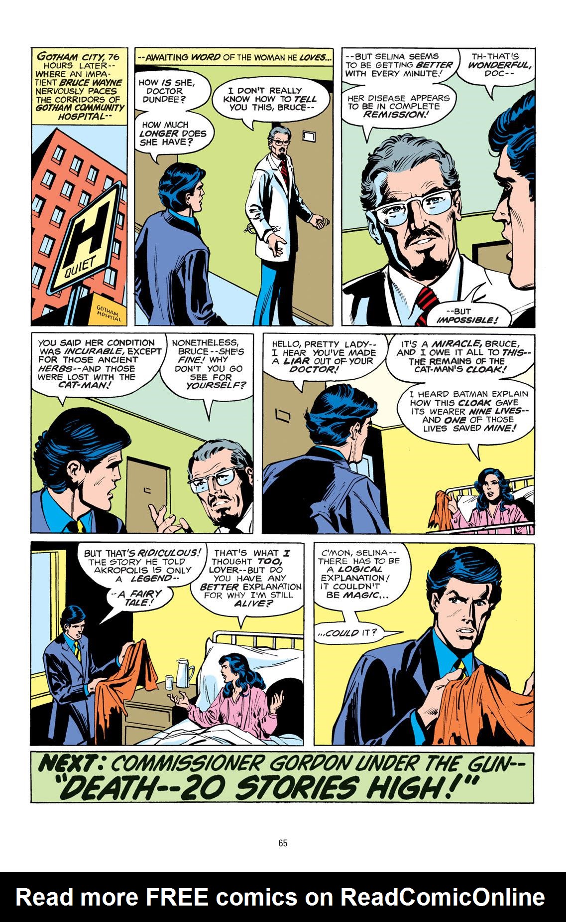Read online Batman: The Bat and the Cat: 80 Years of Romance comic -  Issue # TPB (Part 1) - 67
