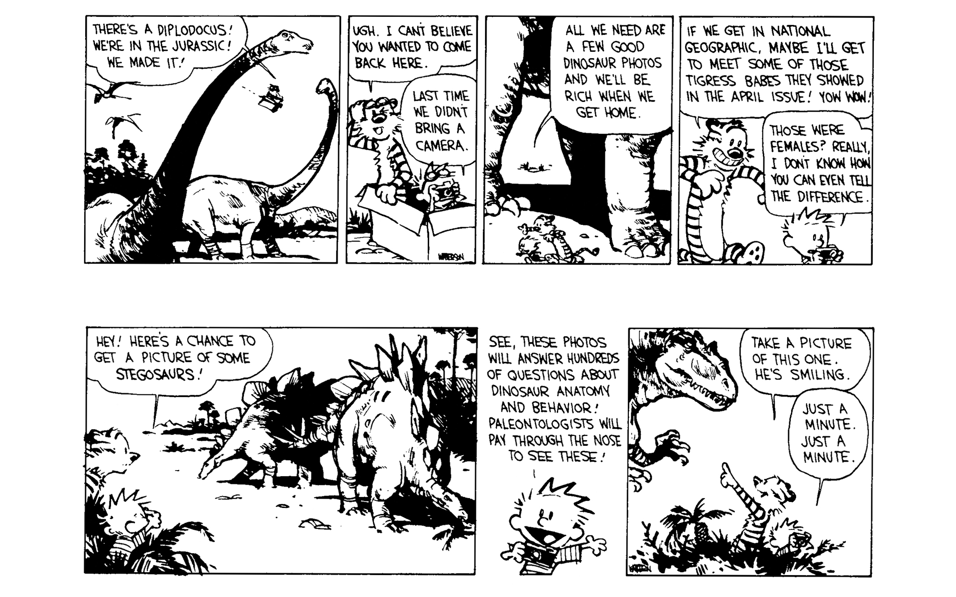 Read online Calvin and Hobbes comic -  Issue #6 - 166