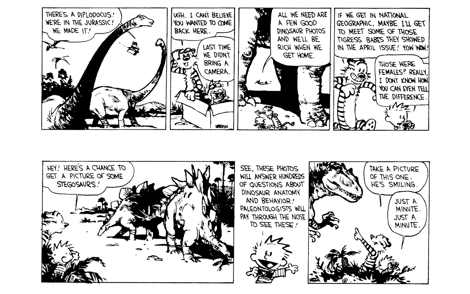 Calvin and Hobbes issue 6 - Page 166
