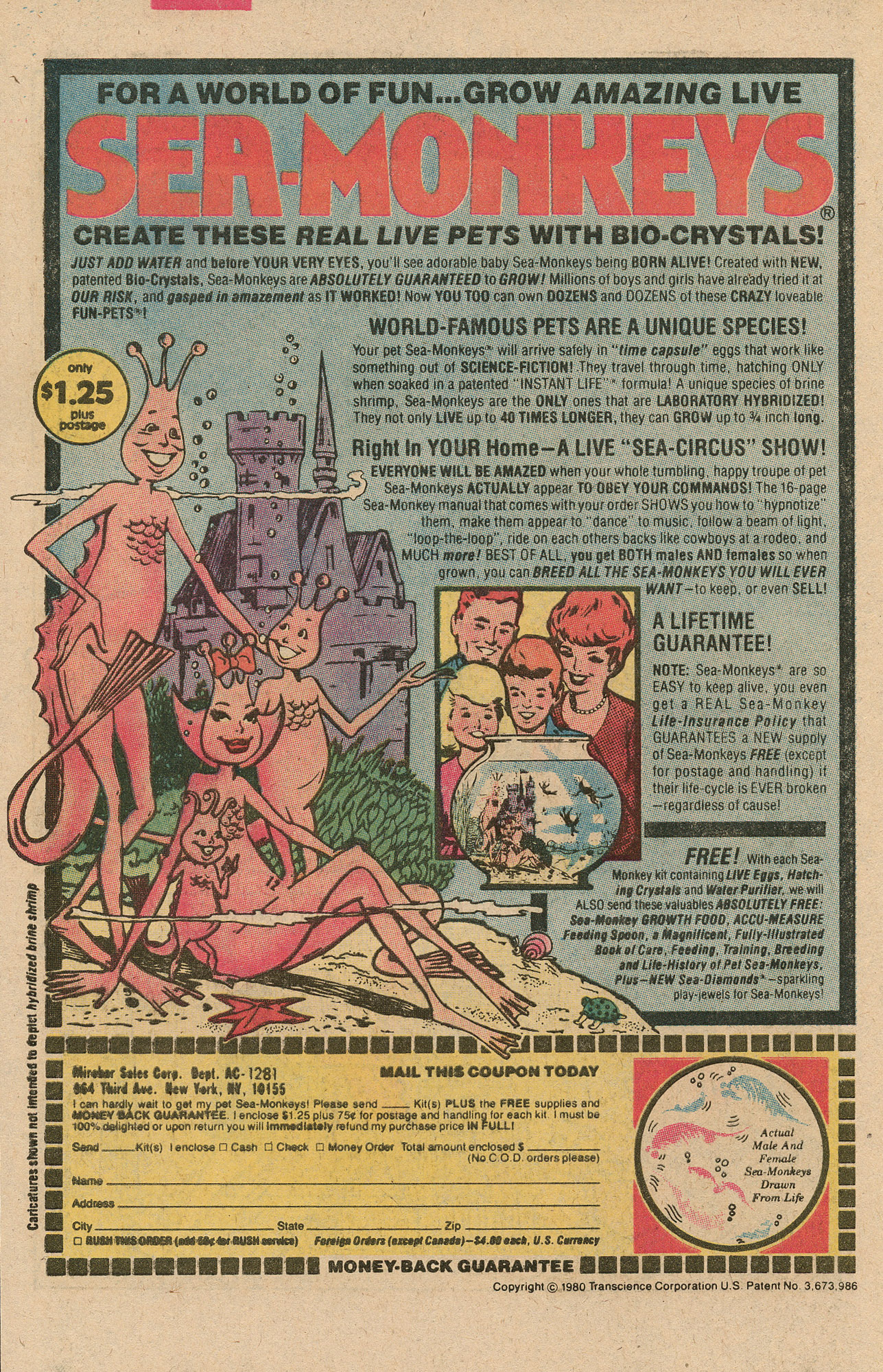 Read online Archie's Pals 'N' Gals (1952) comic -  Issue #155 - 34