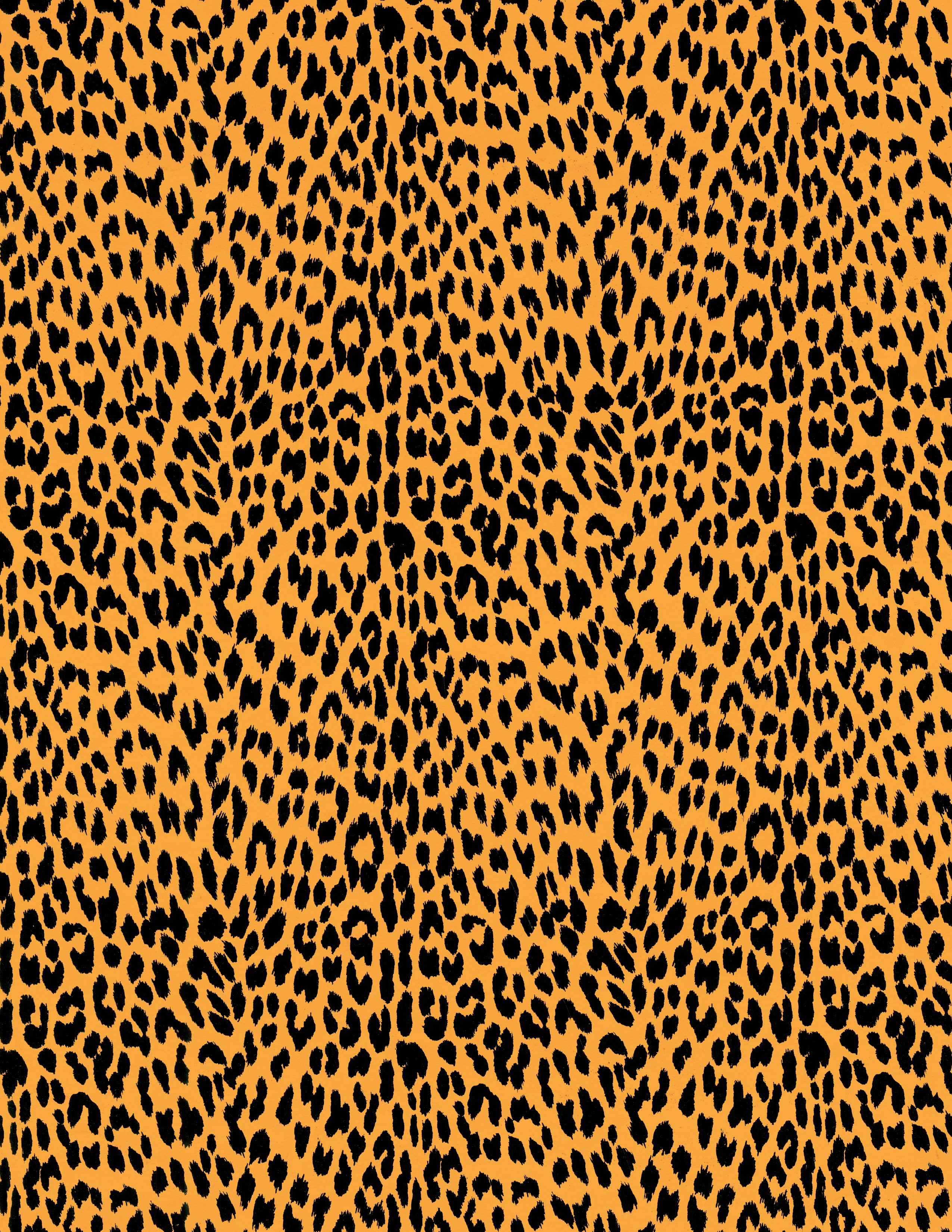 Read online Jungle Girls comic -  Issue # TPB (Part 1) - 2