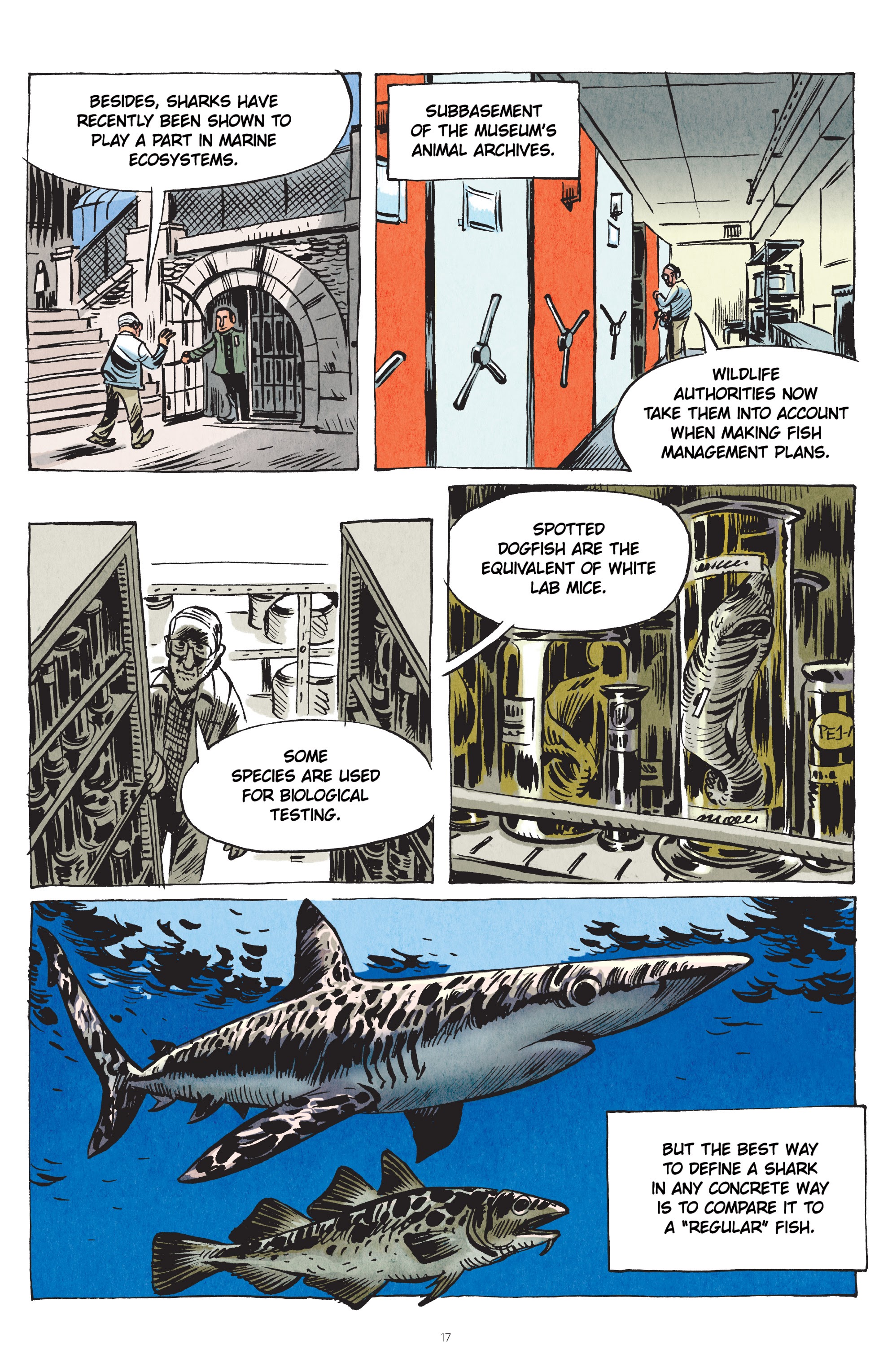 Read online Little Book of Knowledge: Sharks comic -  Issue # TPB - 17