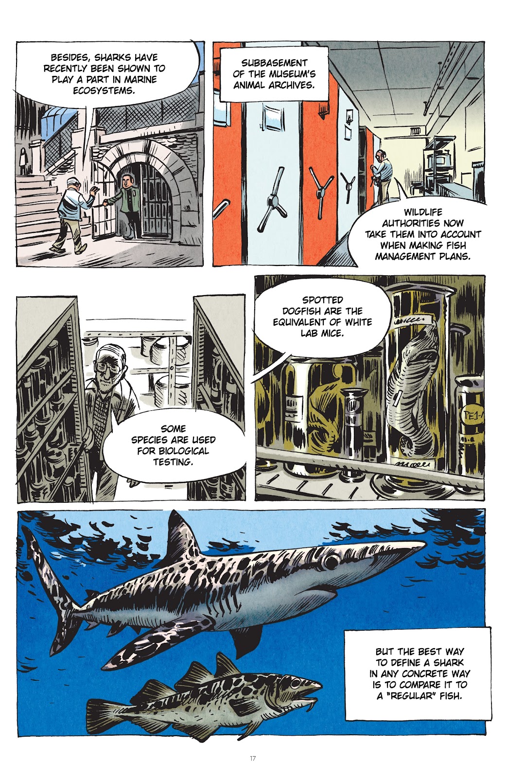 Little Book of Knowledge: Sharks issue TPB - Page 17