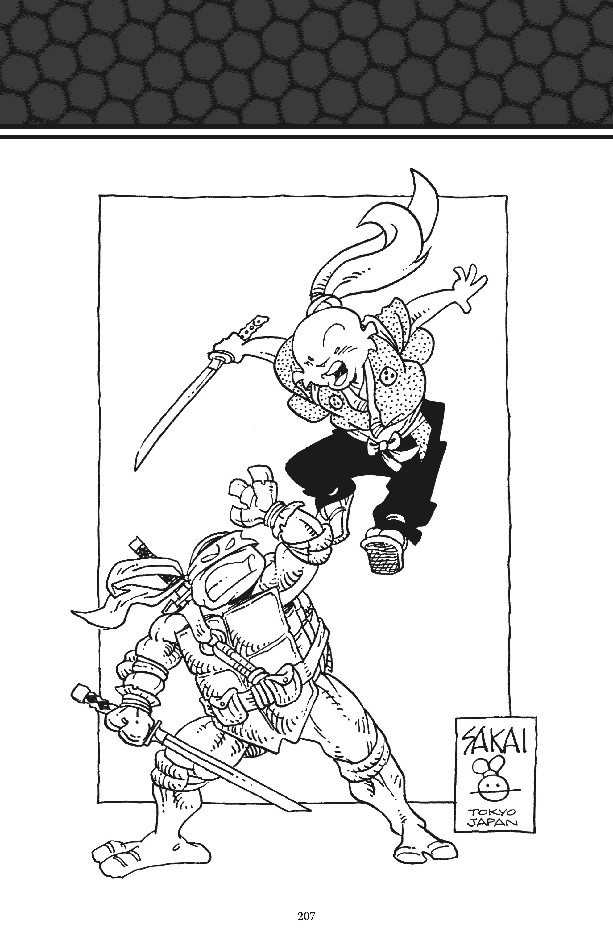Read online Usagi Yojimbo/Teenage Mutant Ninja Turtles: The Complete Collection comic -  Issue # TPB (Part 2) - 96