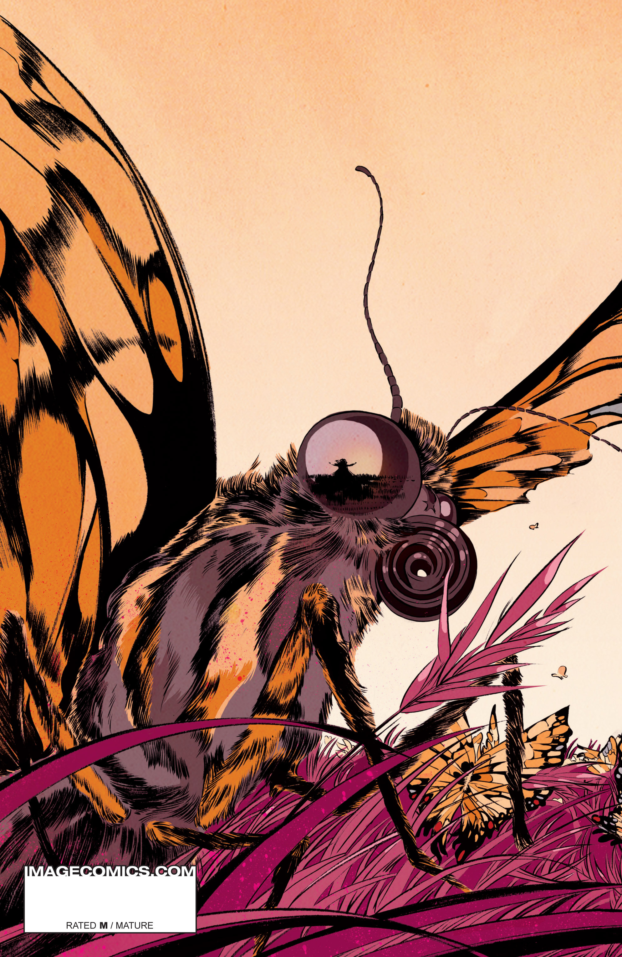 Read online Pretty Deadly comic -  Issue #2 - 32