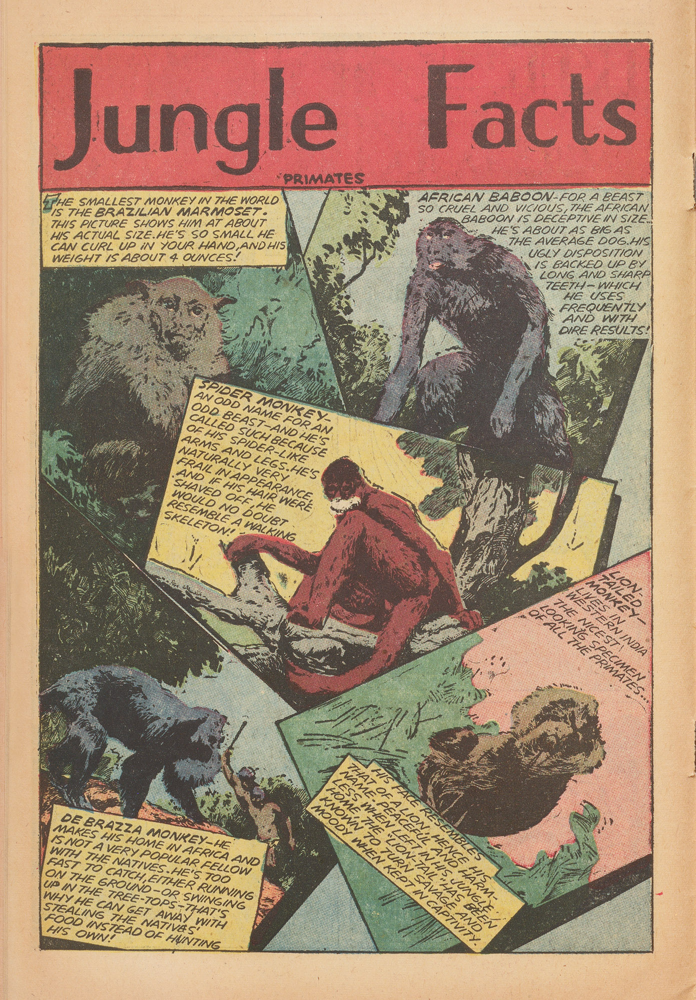 Read online Wambi Jungle Boy comic -  Issue #18 - 10