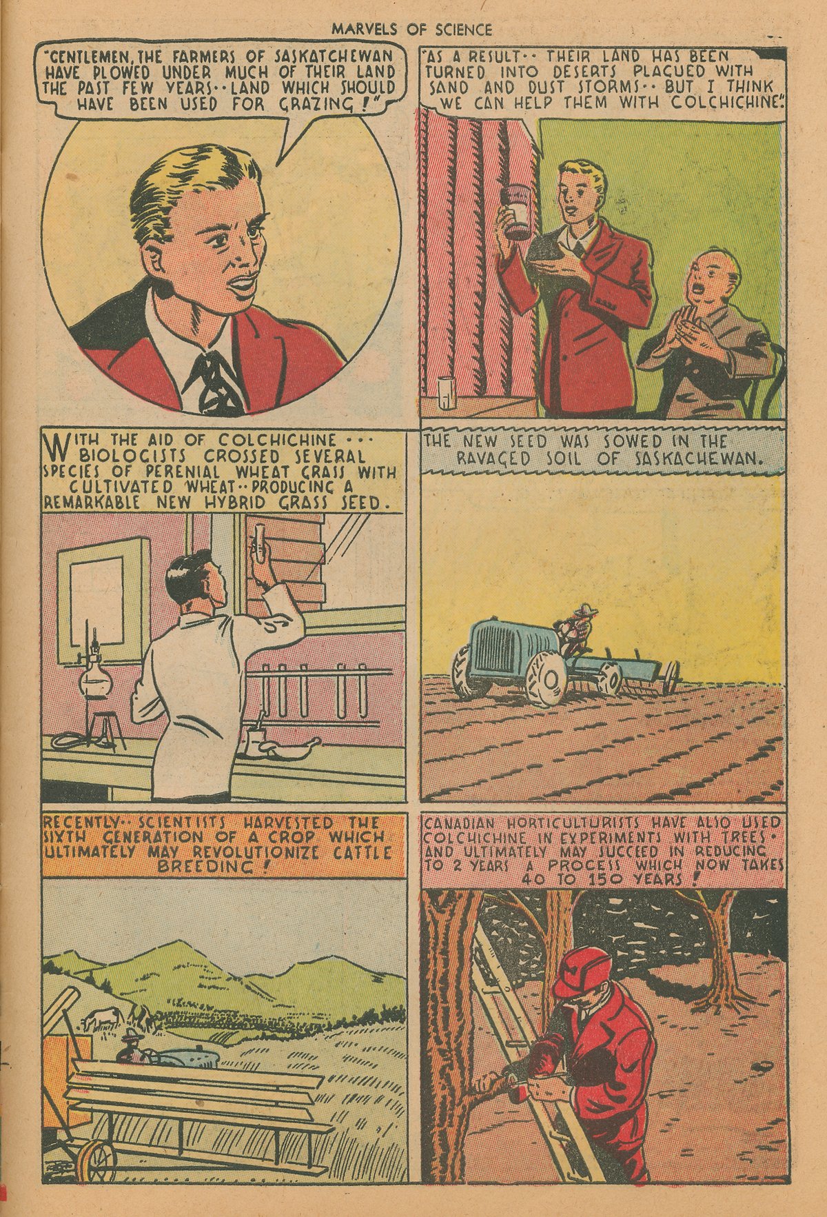 Read online Marvels Of Science comic -  Issue #2 - 41