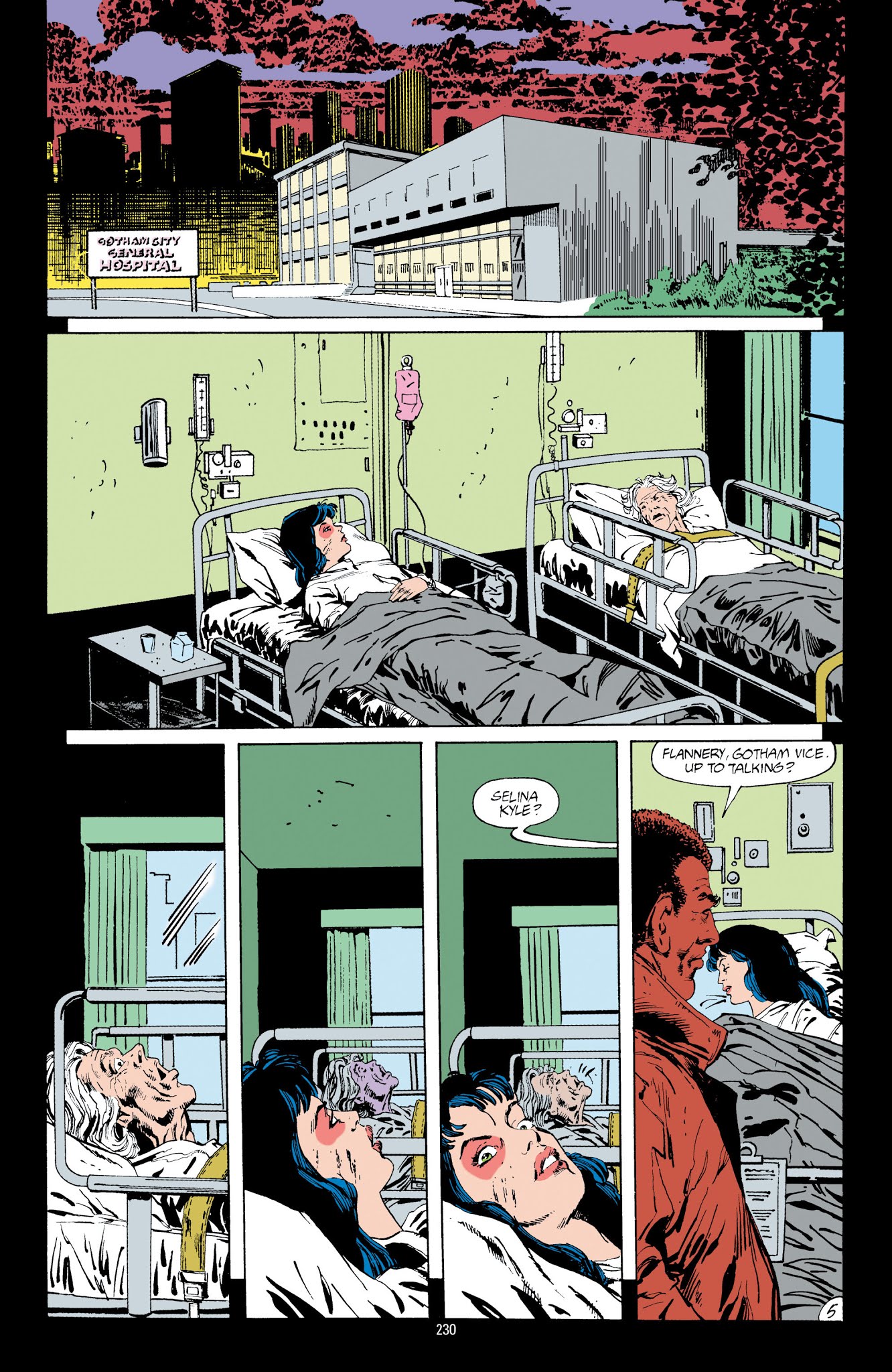 Read online Catwoman: A Celebration of 75 Years comic -  Issue # TPB (Part 3) - 31