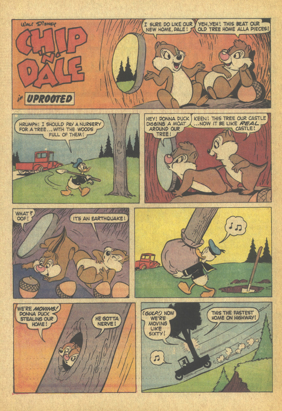 Read online Walt Disney Chip 'n' Dale comic -  Issue #12 - 23